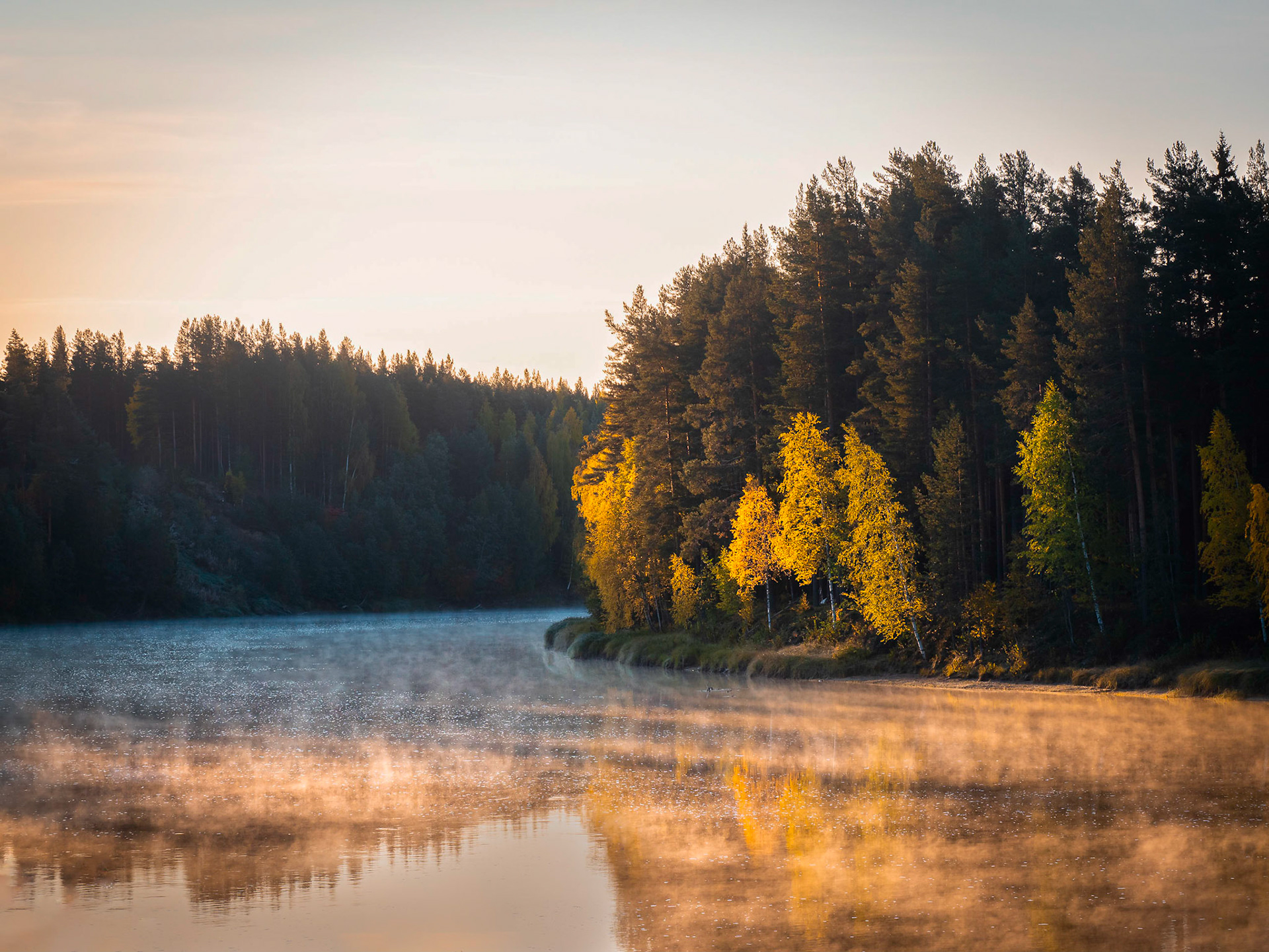 Luleälven, Vidsel