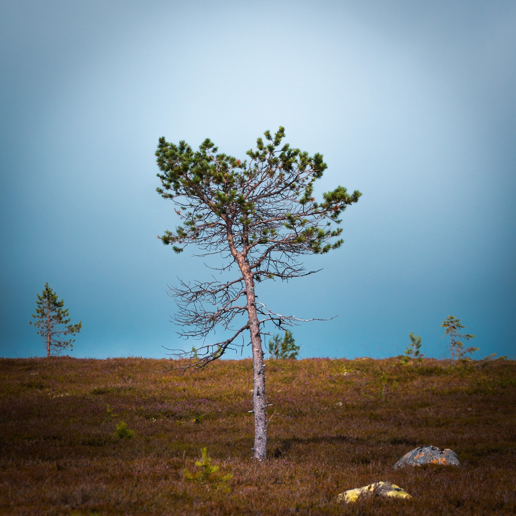 Södra Kungsleden, Sälen