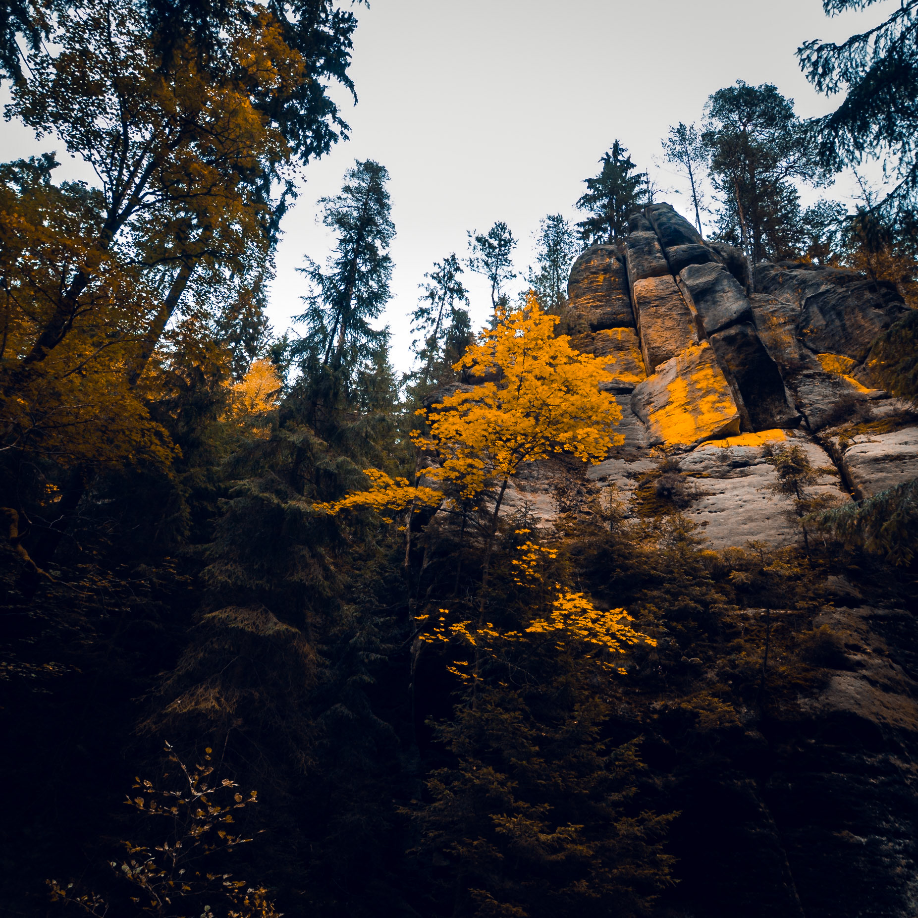 Kirnitzschtal