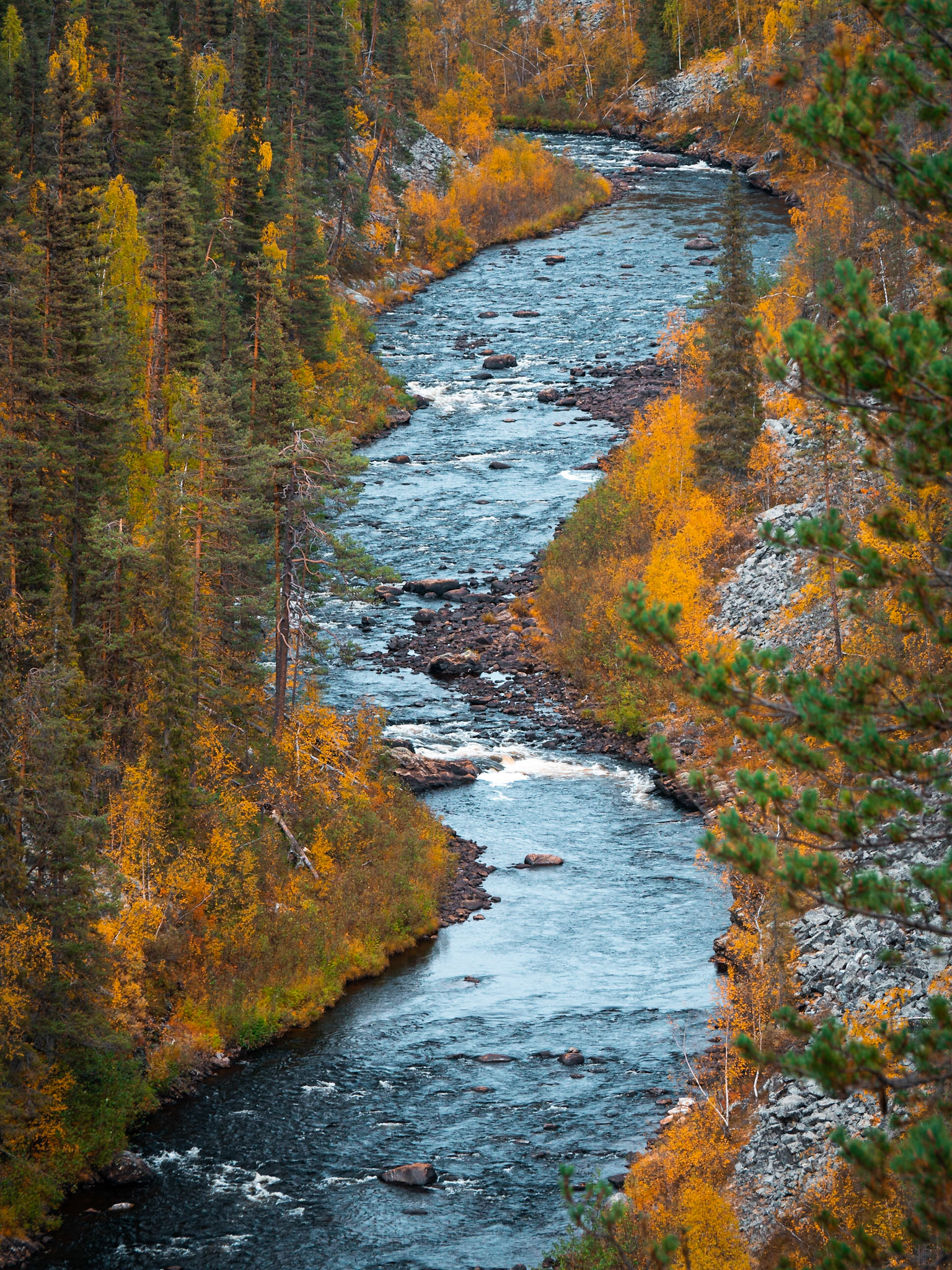 Muddus Nationalpark
