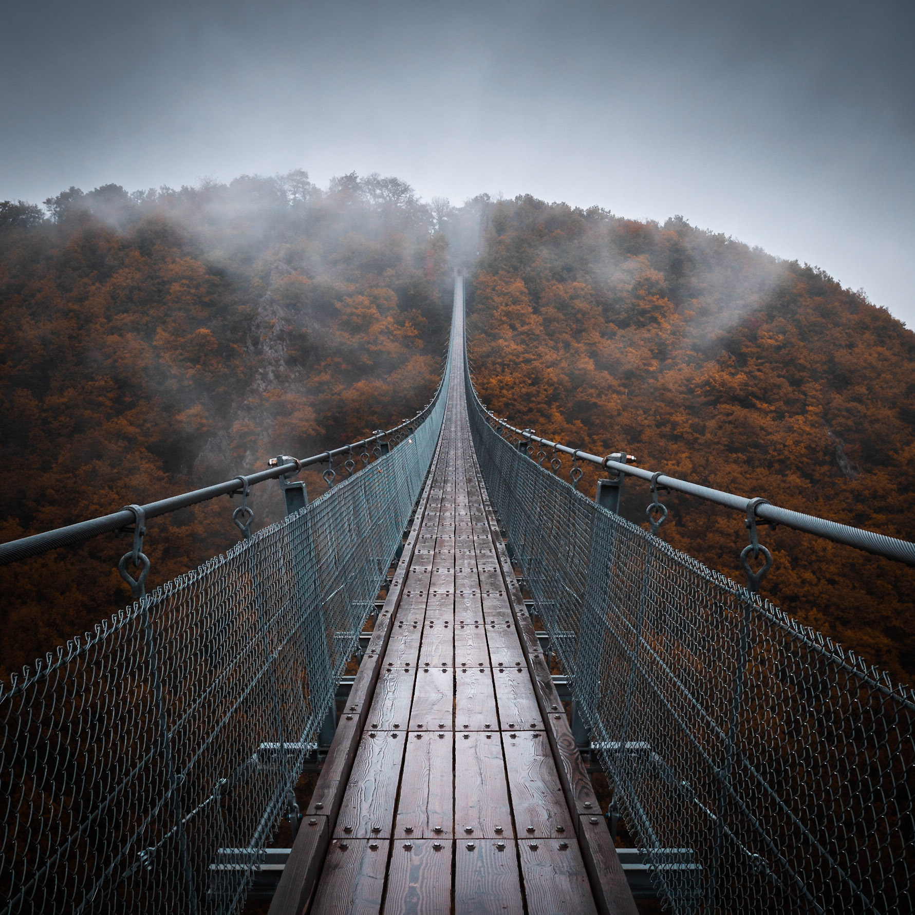 Hängeseilbrücke Geierlay