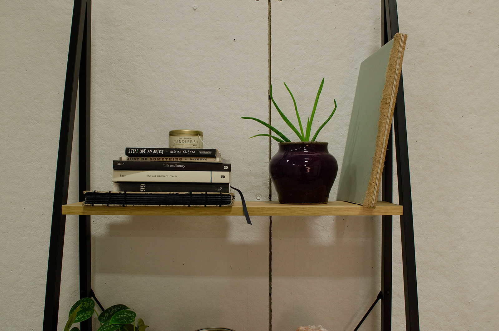 The top shelf contains some books, a candle for sale, a plant, and the brand guidelines for the store.