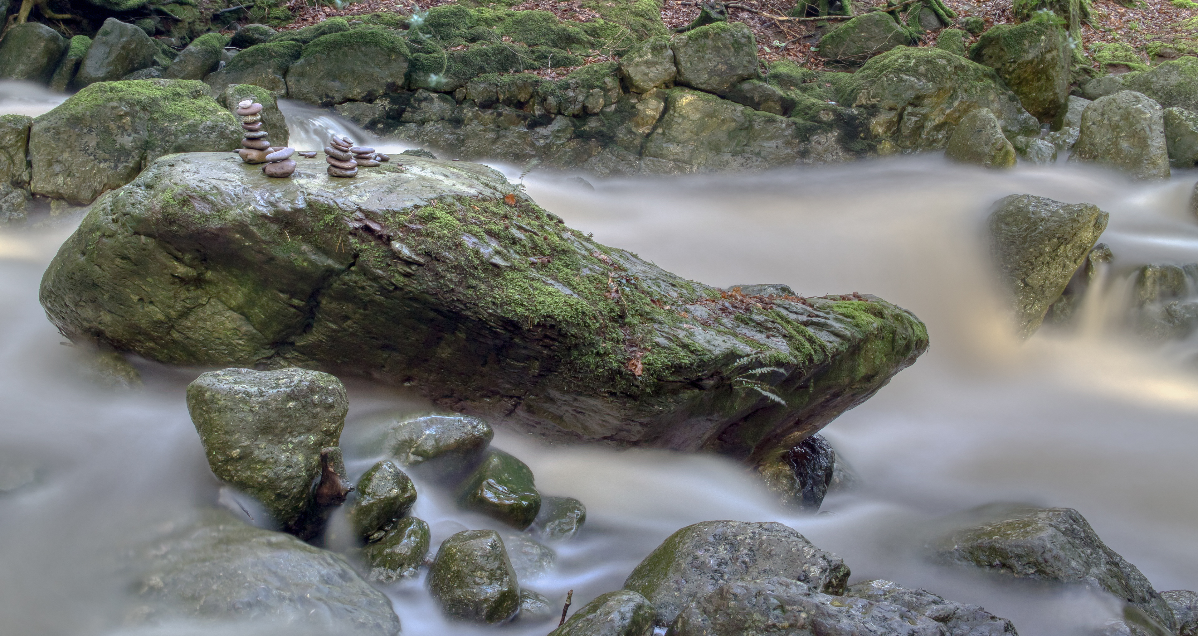 Crough Wood, Co. Waterford