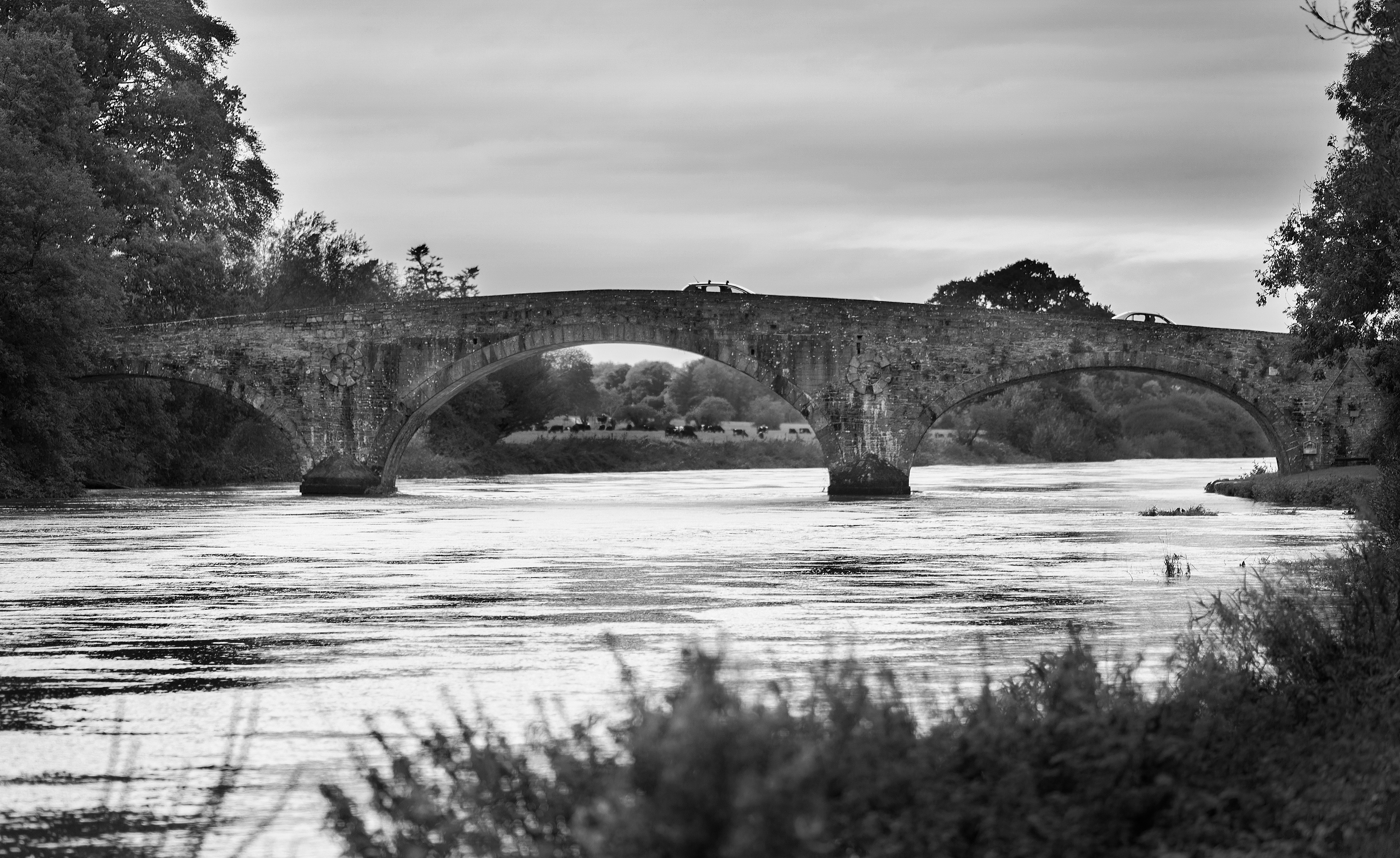 Kilsheelan, Co. Tipperary