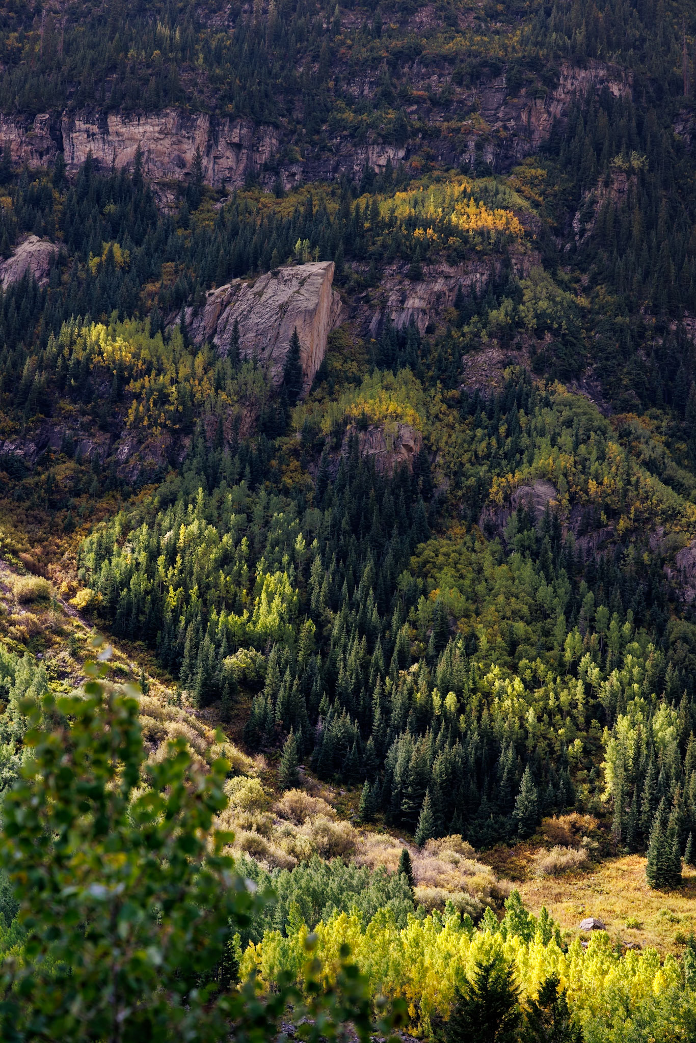 Mountain Textures | Colorado