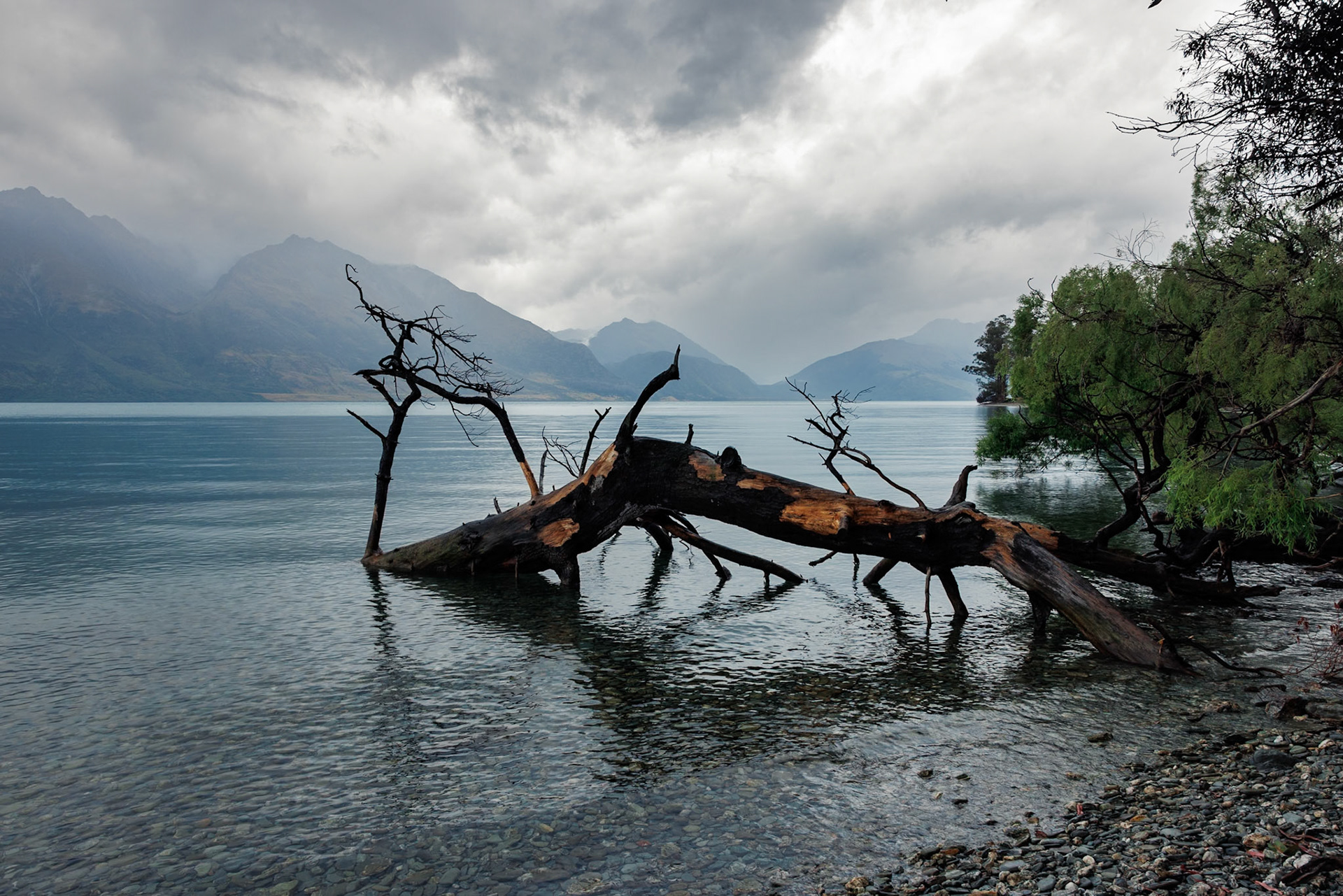Lake Wakatipu | New Zealand