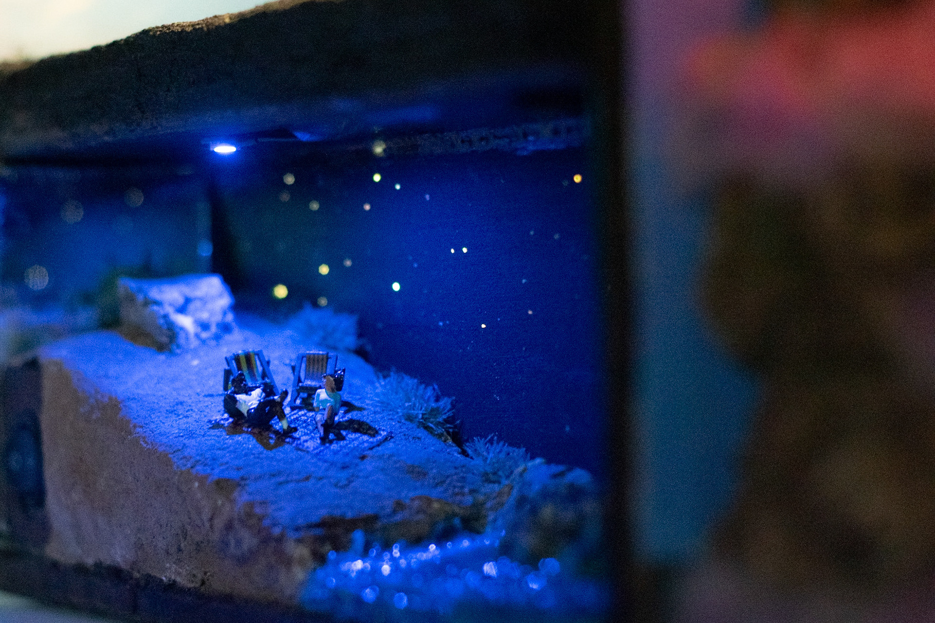 A night chat on a bioluminescent Cali beach...