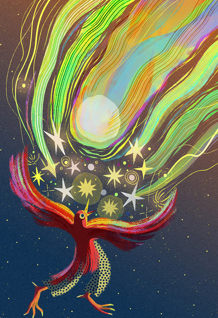 STAR CATCHER
