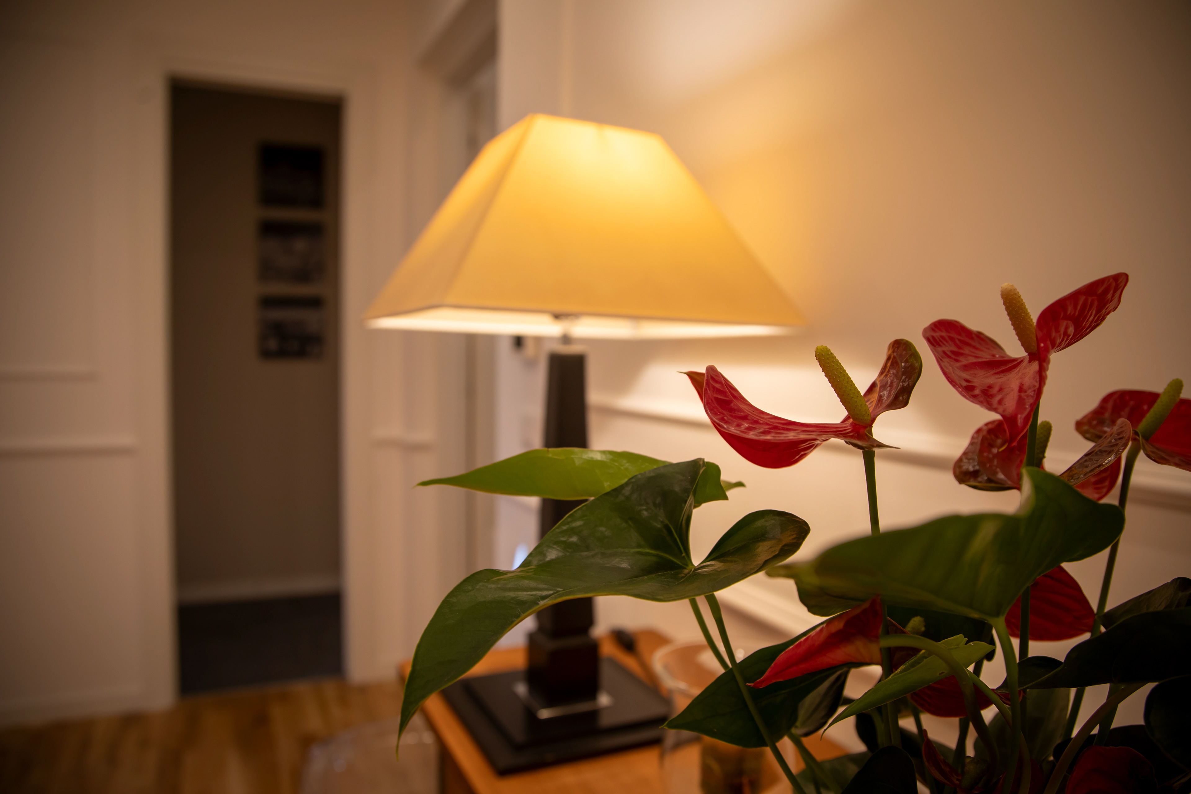 b&b Flaminio