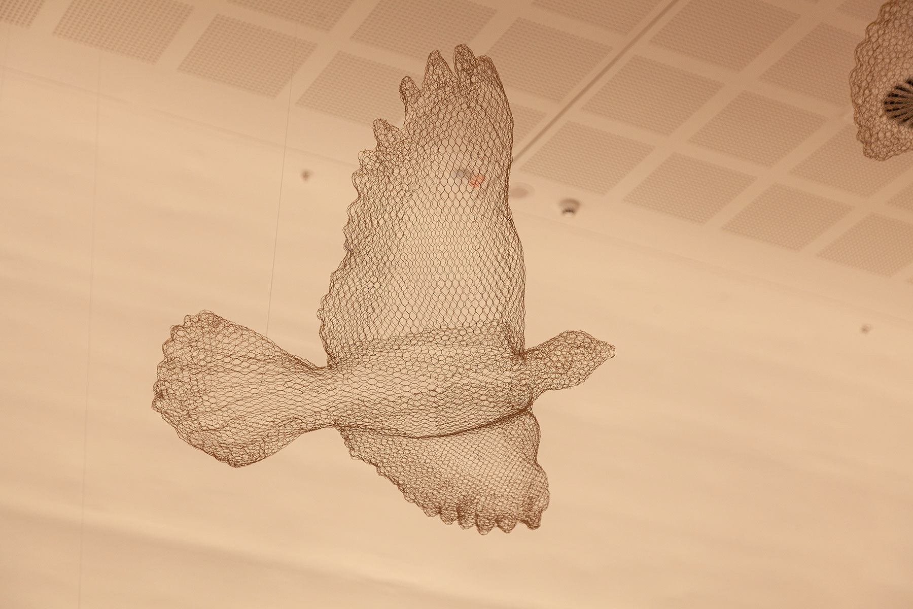 Metal mesh bird