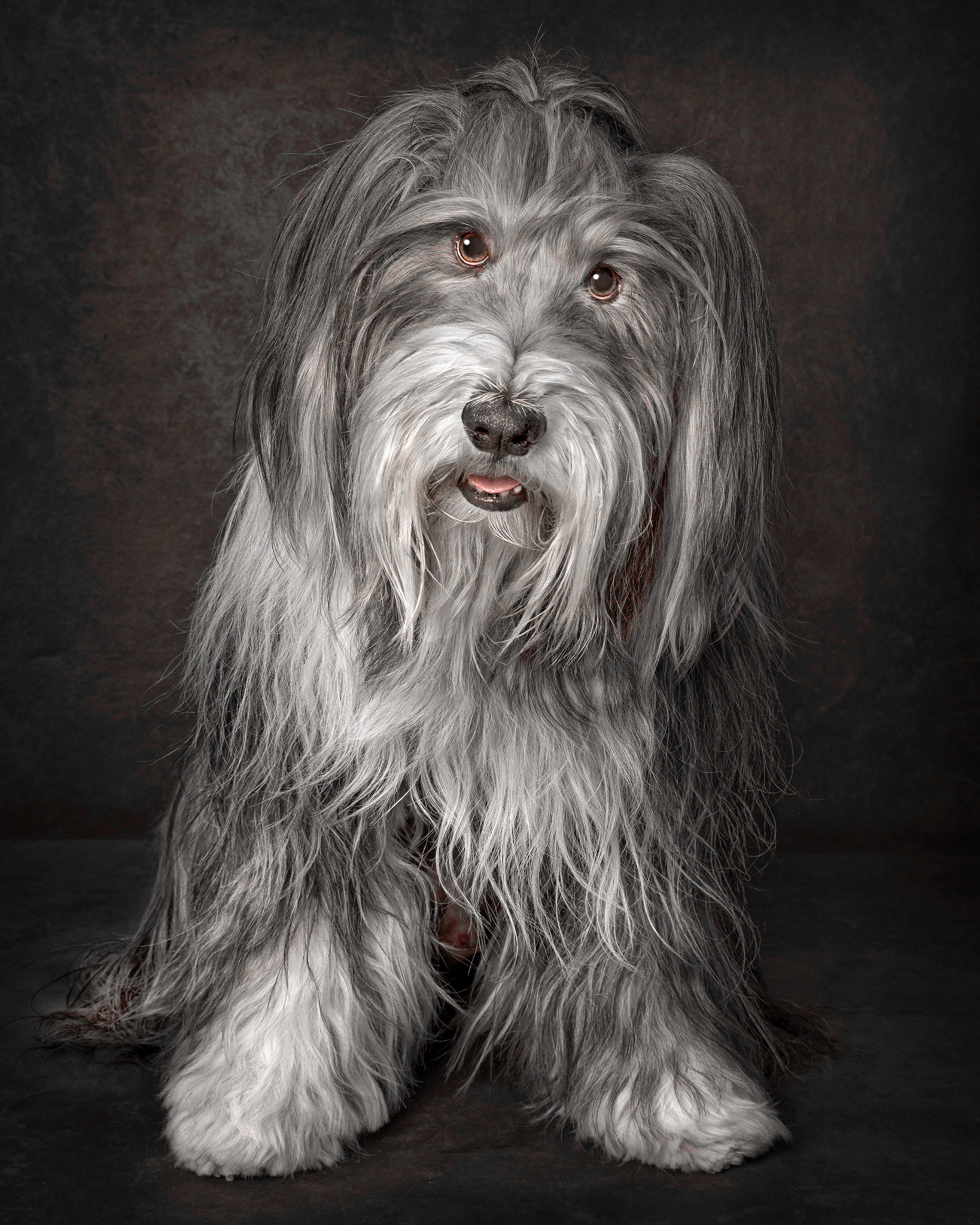 HAMISH