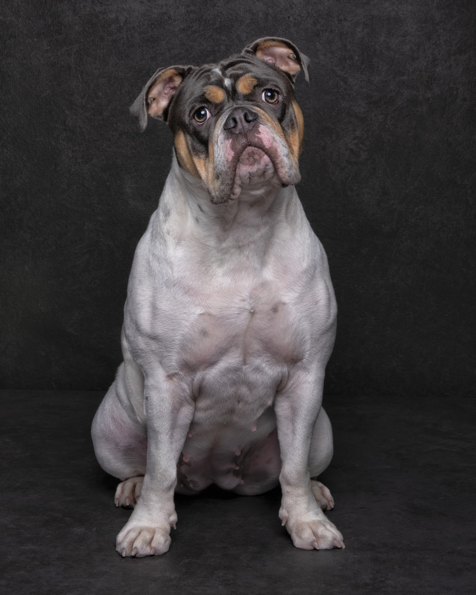 DOTTIE