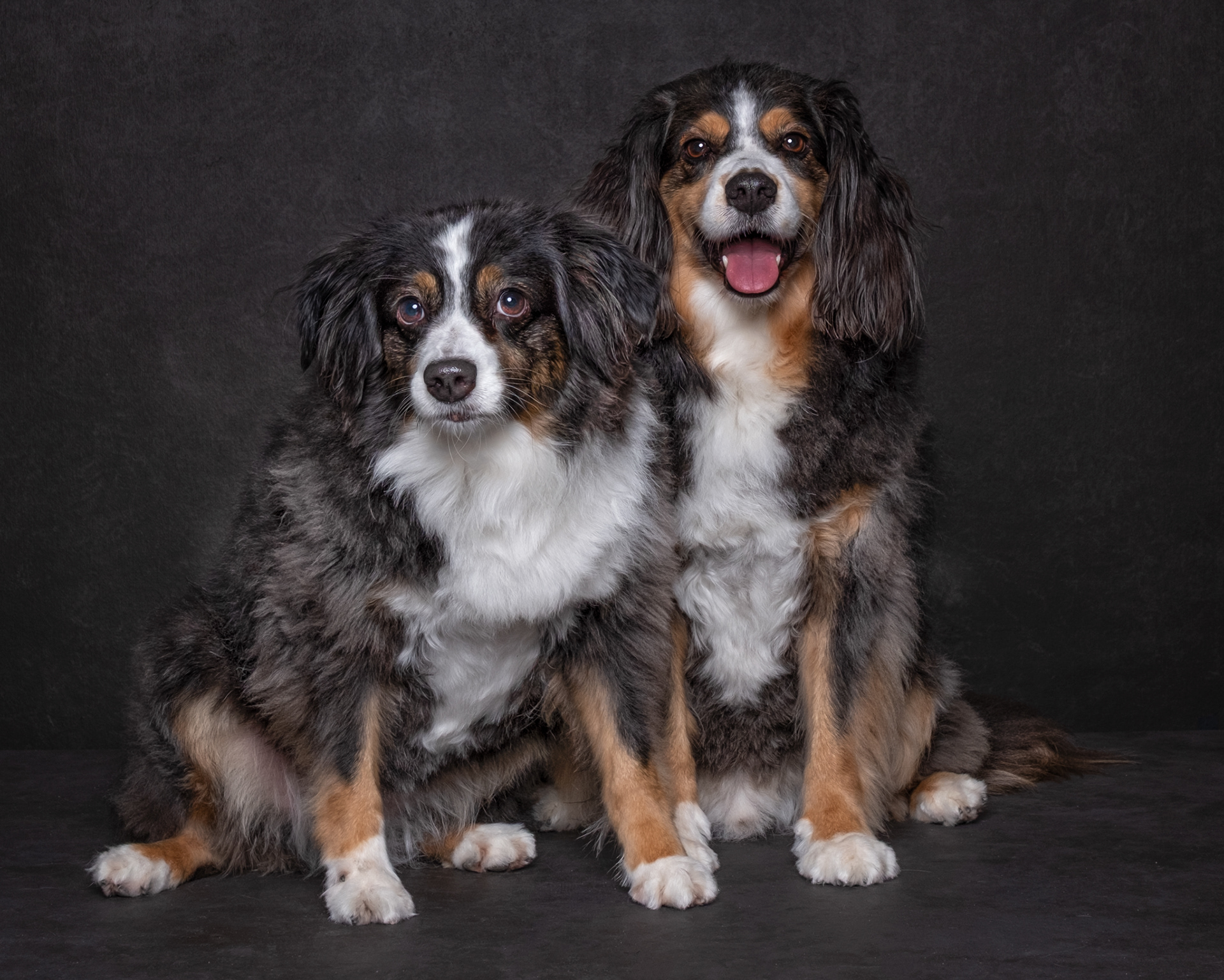 WALA and KEKO