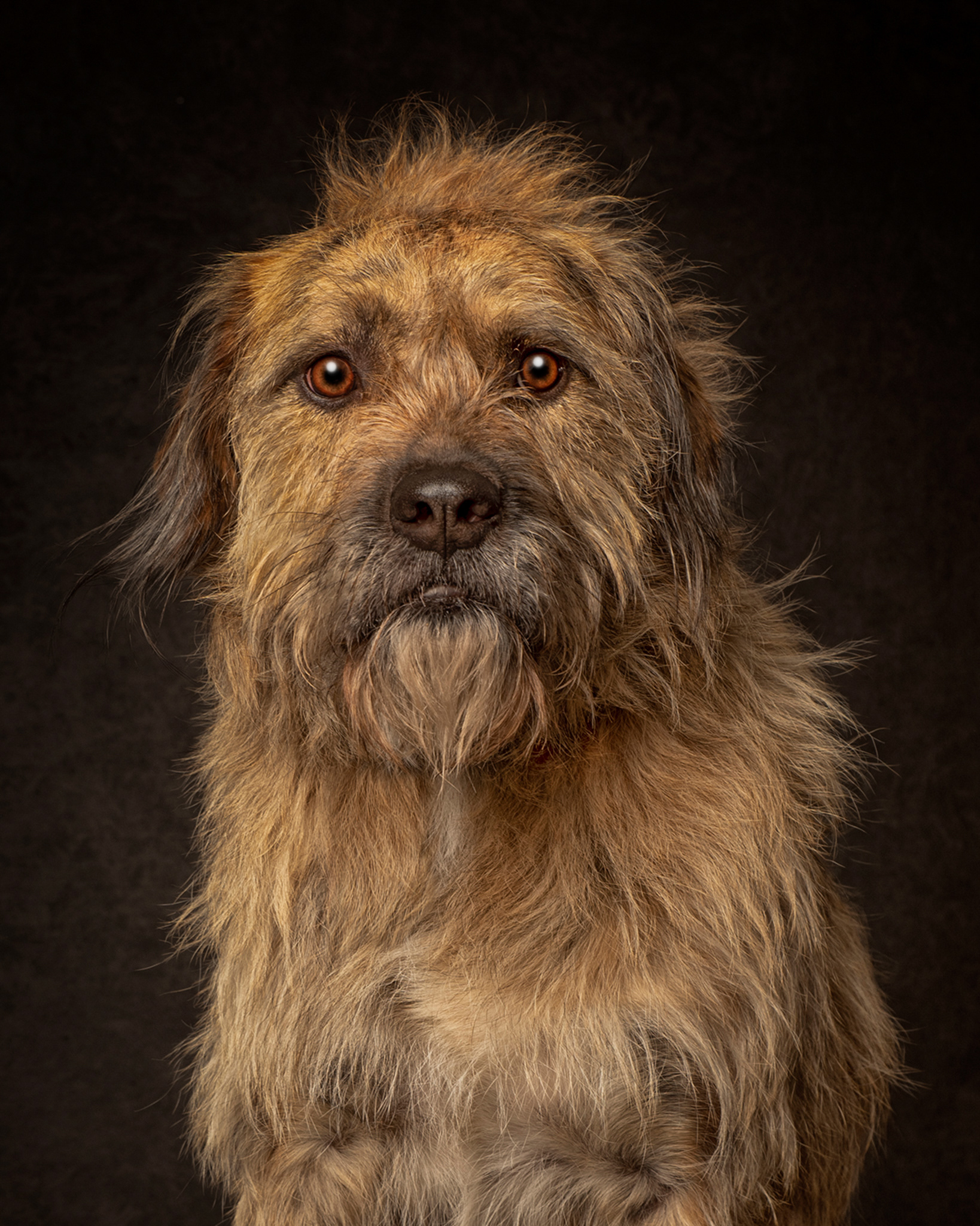 SCRUFFY