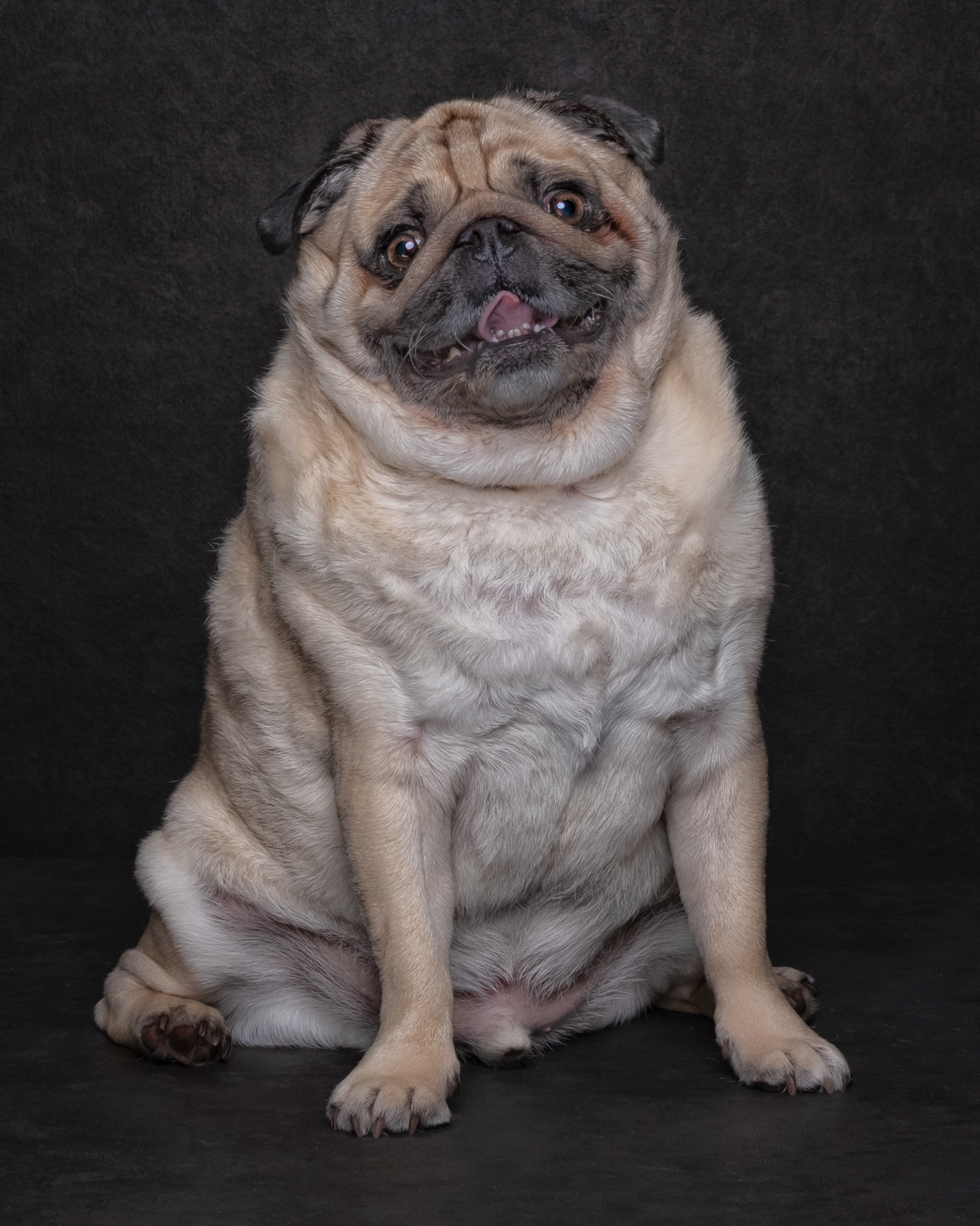 DUKE