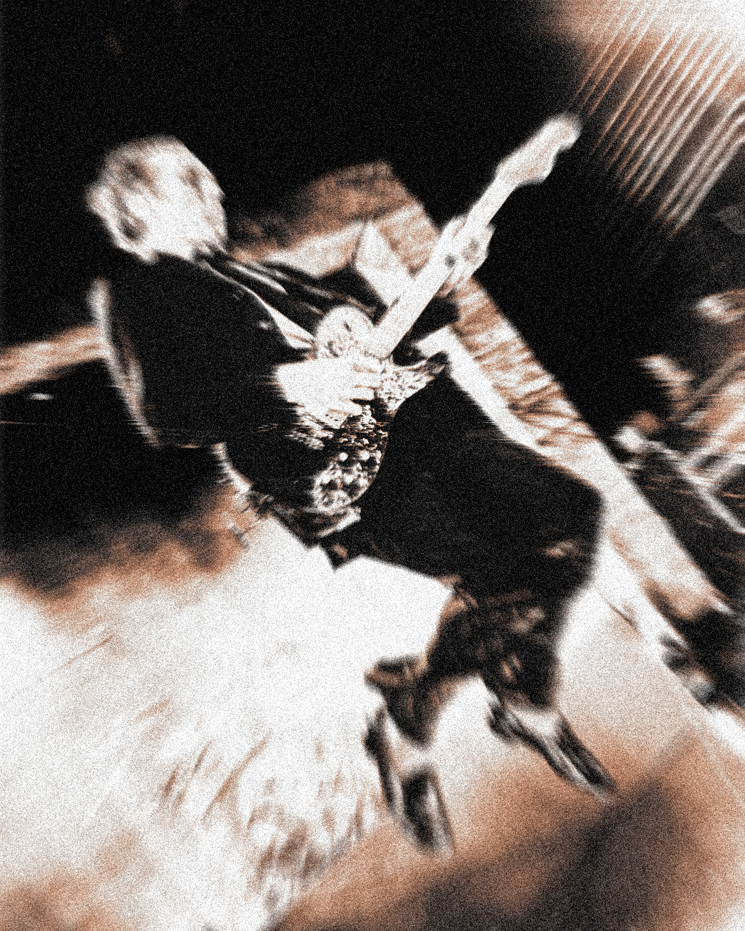 Franz Ferdinand