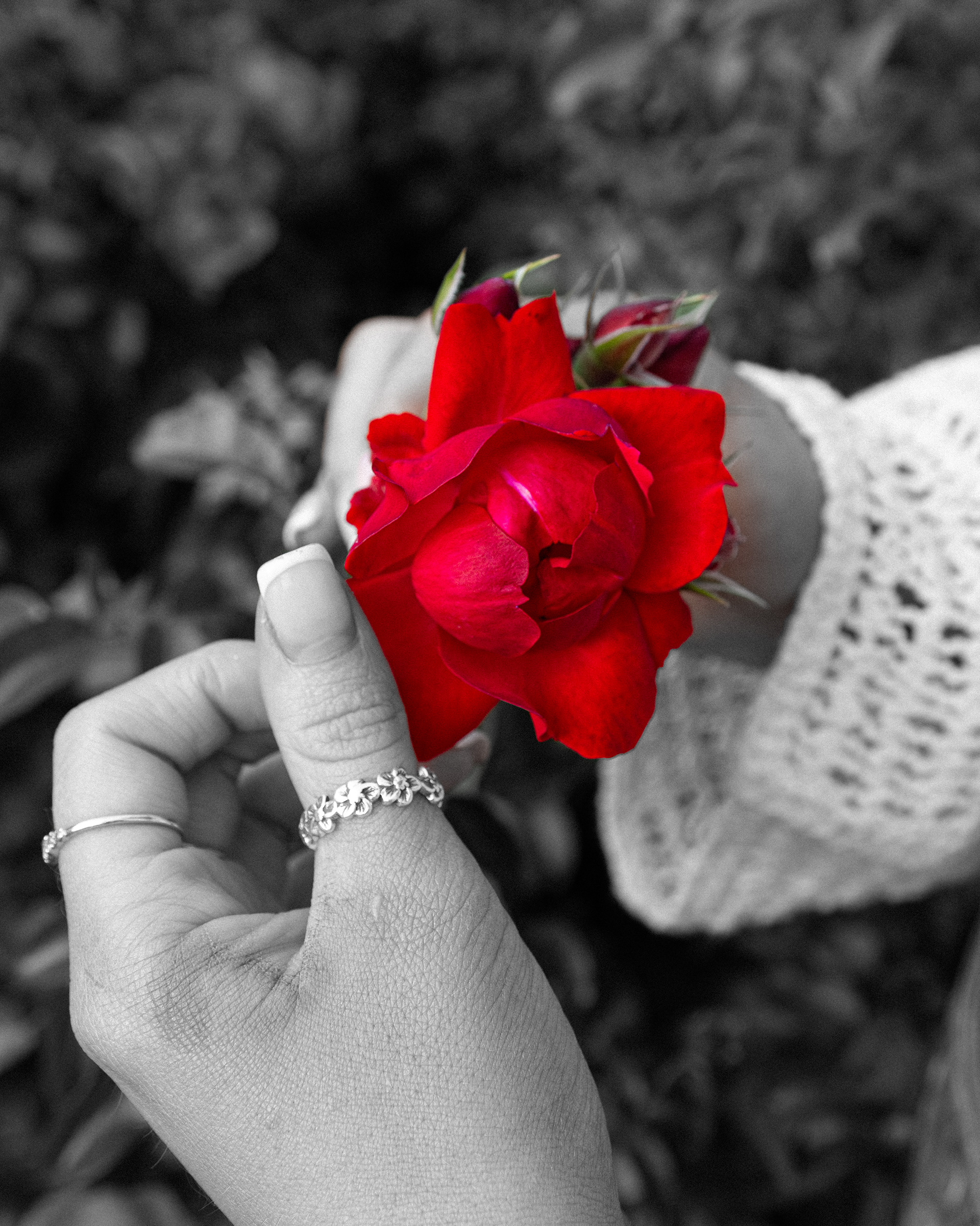 Valentine, Matilda Pratt (2026)