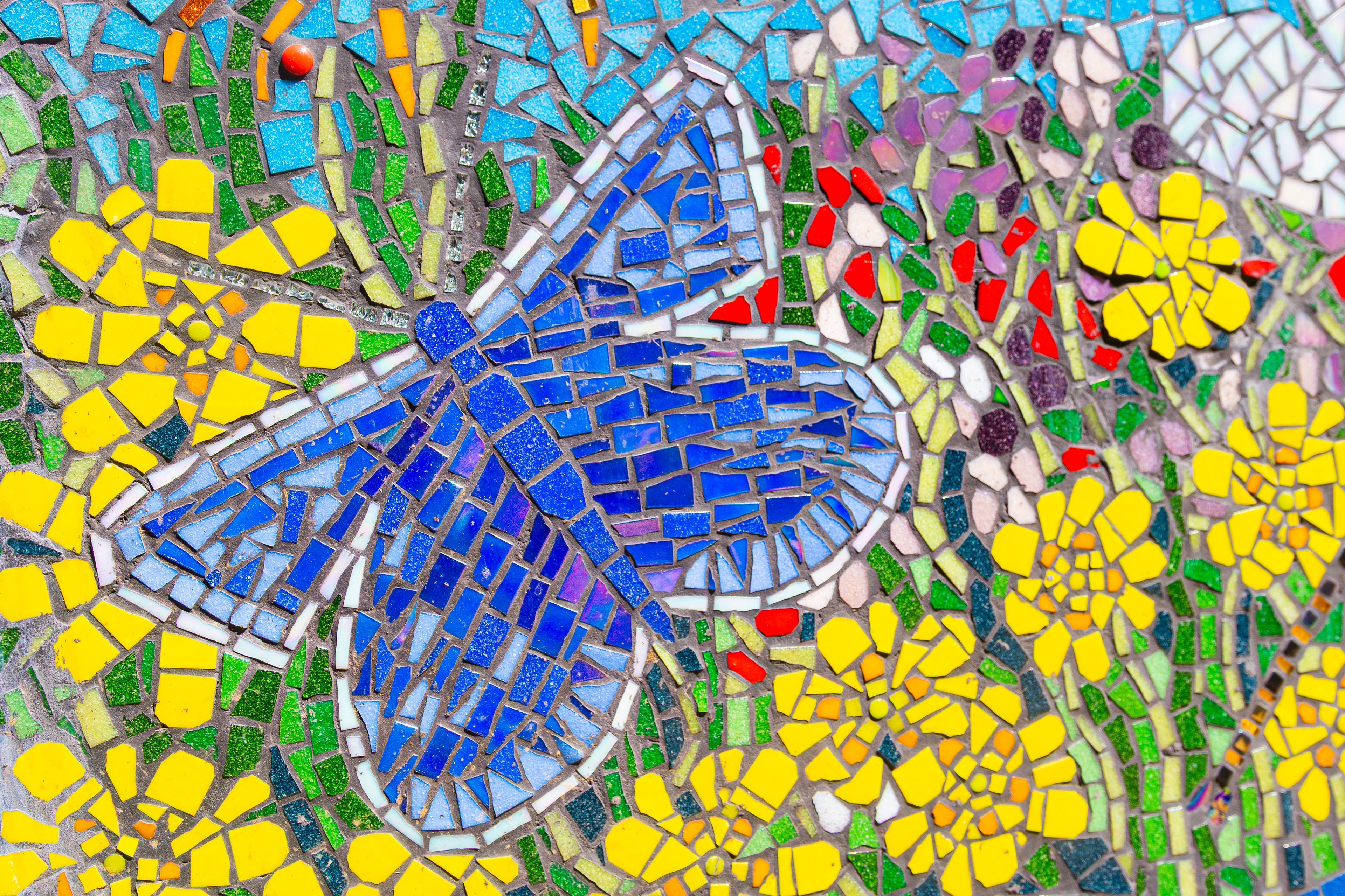 Jackie Nash, Website Launch 2025