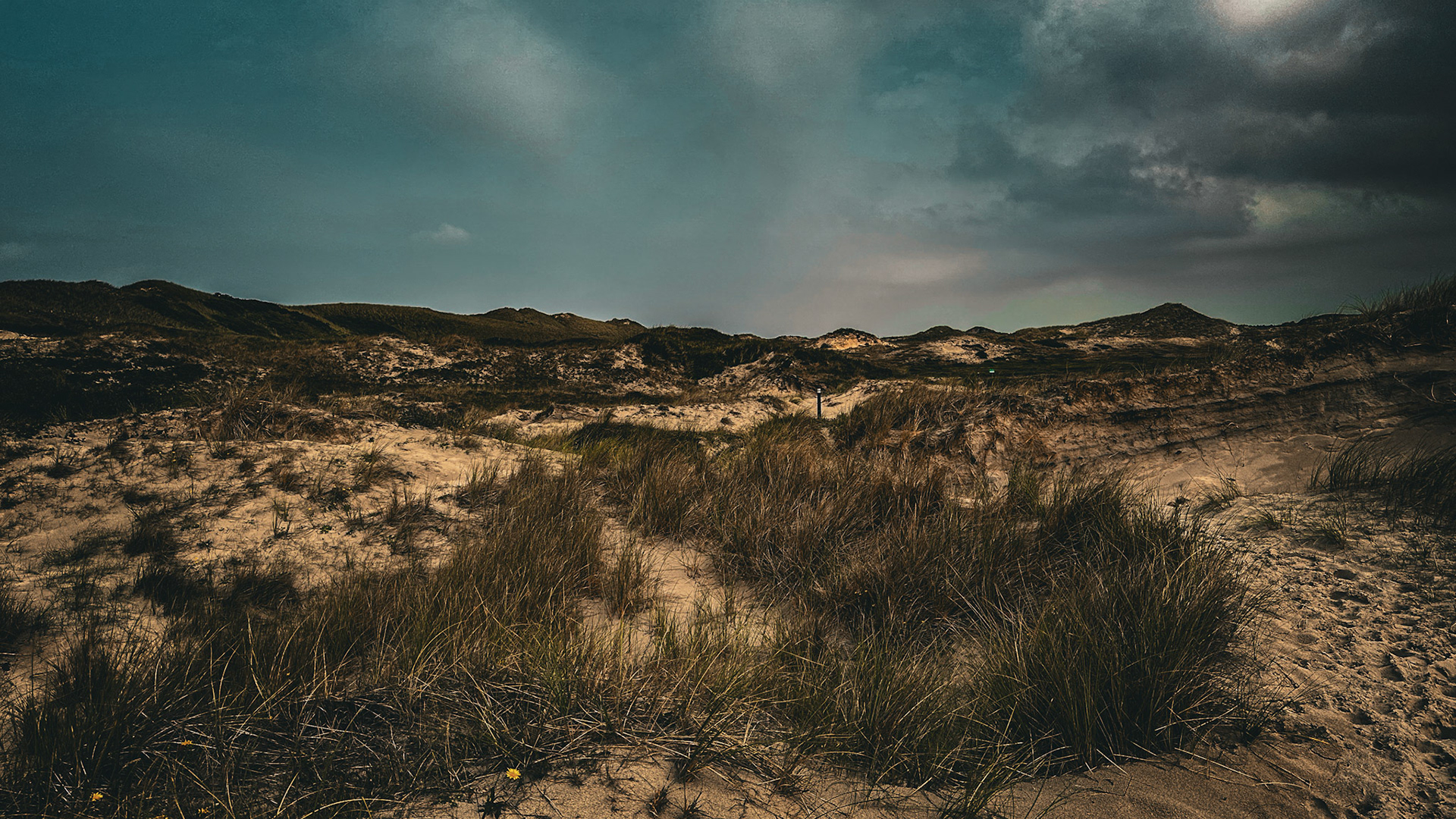 Egmond aan Zee