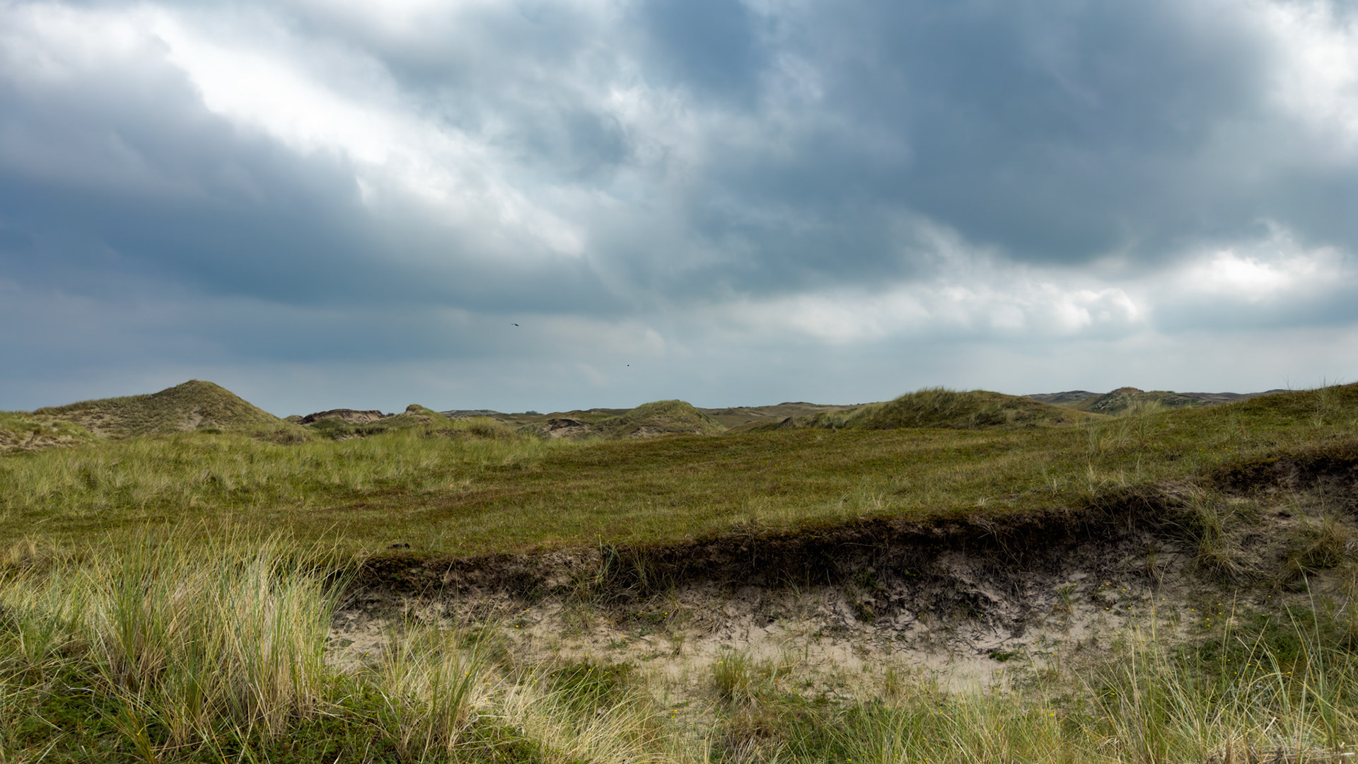 Egmond aan Zee