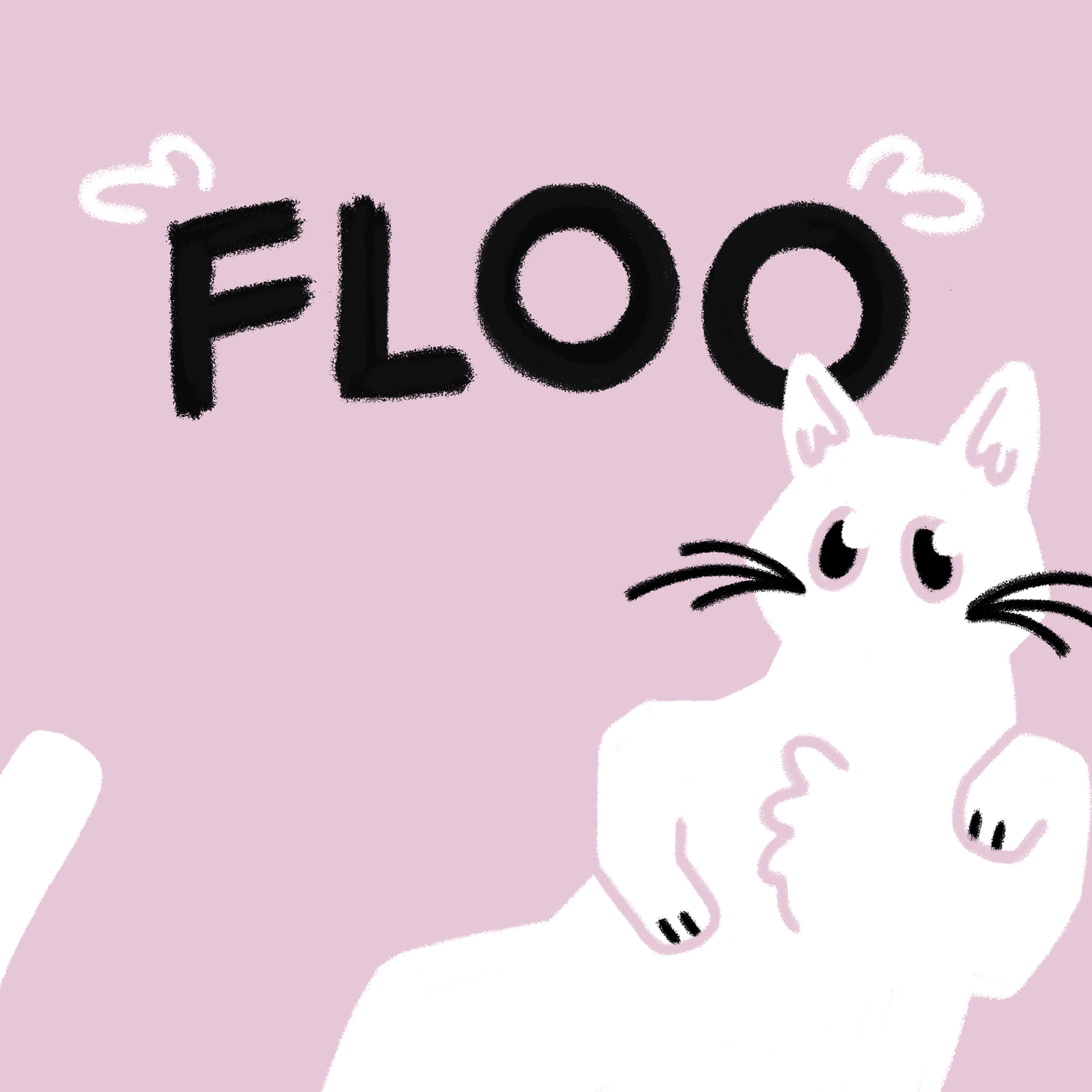 cat character introduction (Floo)