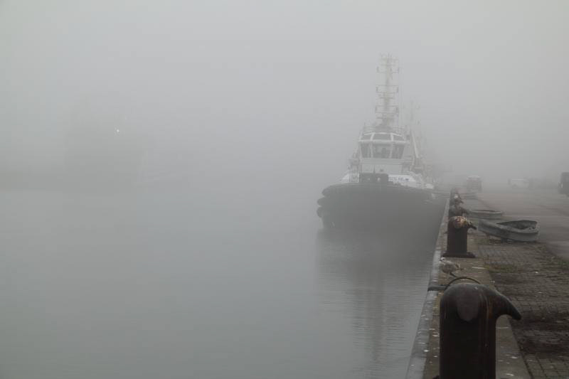 Sleepboot in IJmuiden