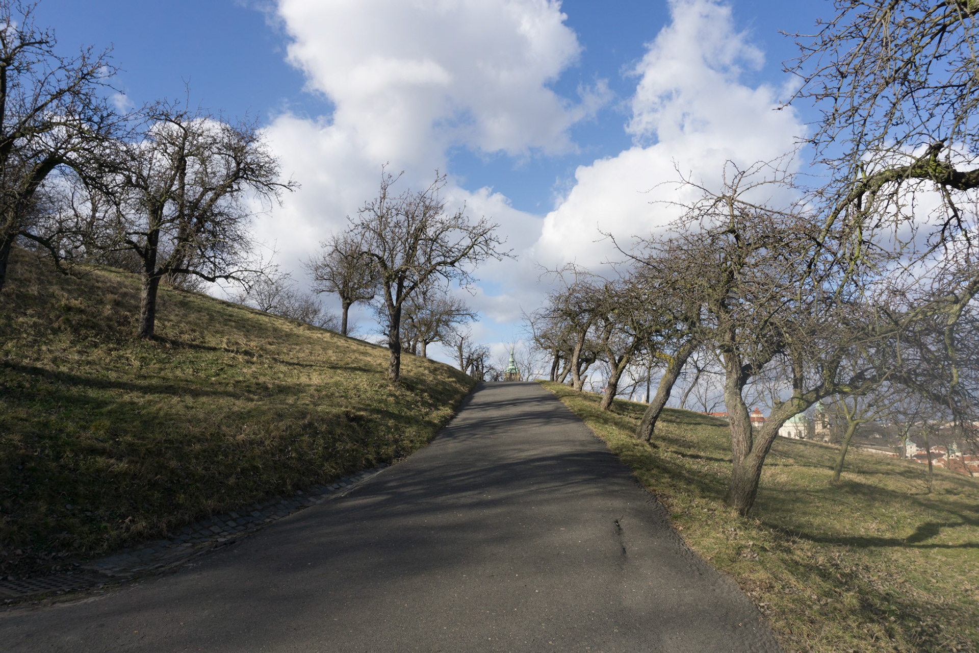 Park