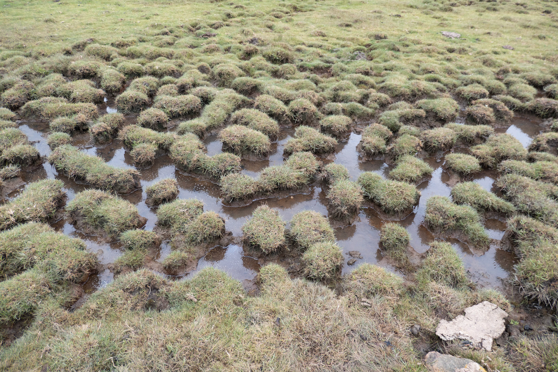 Toftenäs natuurreservaat