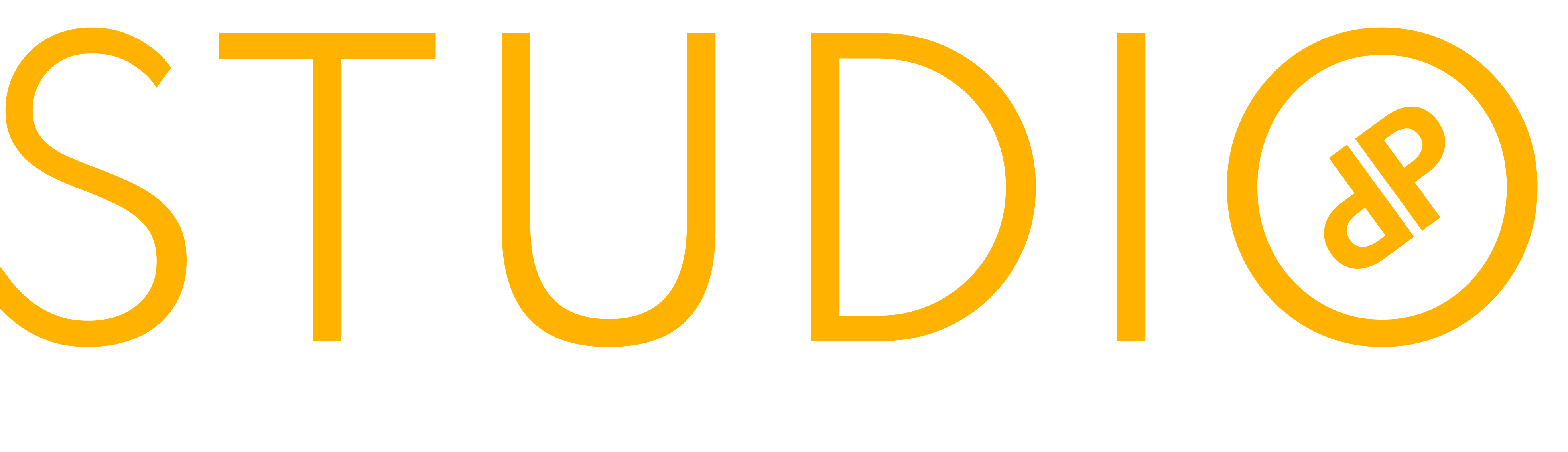 Studio DP Logo