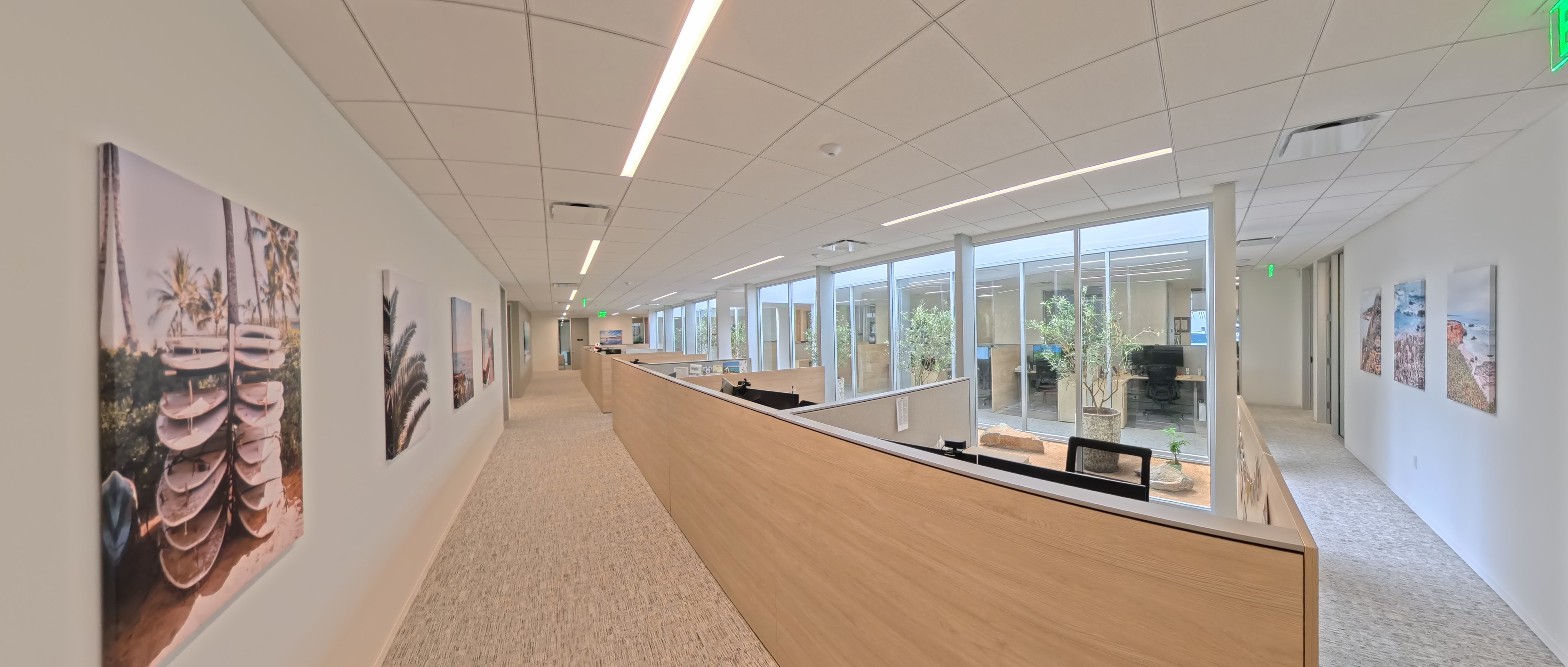 Bright office corridor with framed artwork, open workstations and large windows.