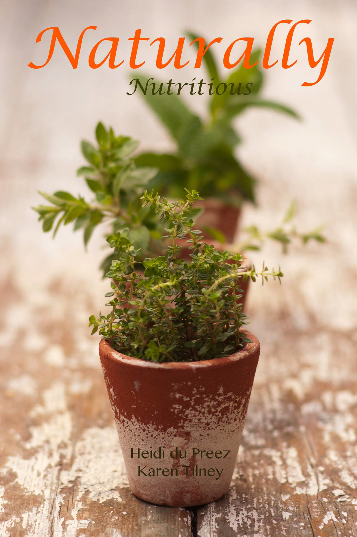 Published by Aardvark Press.