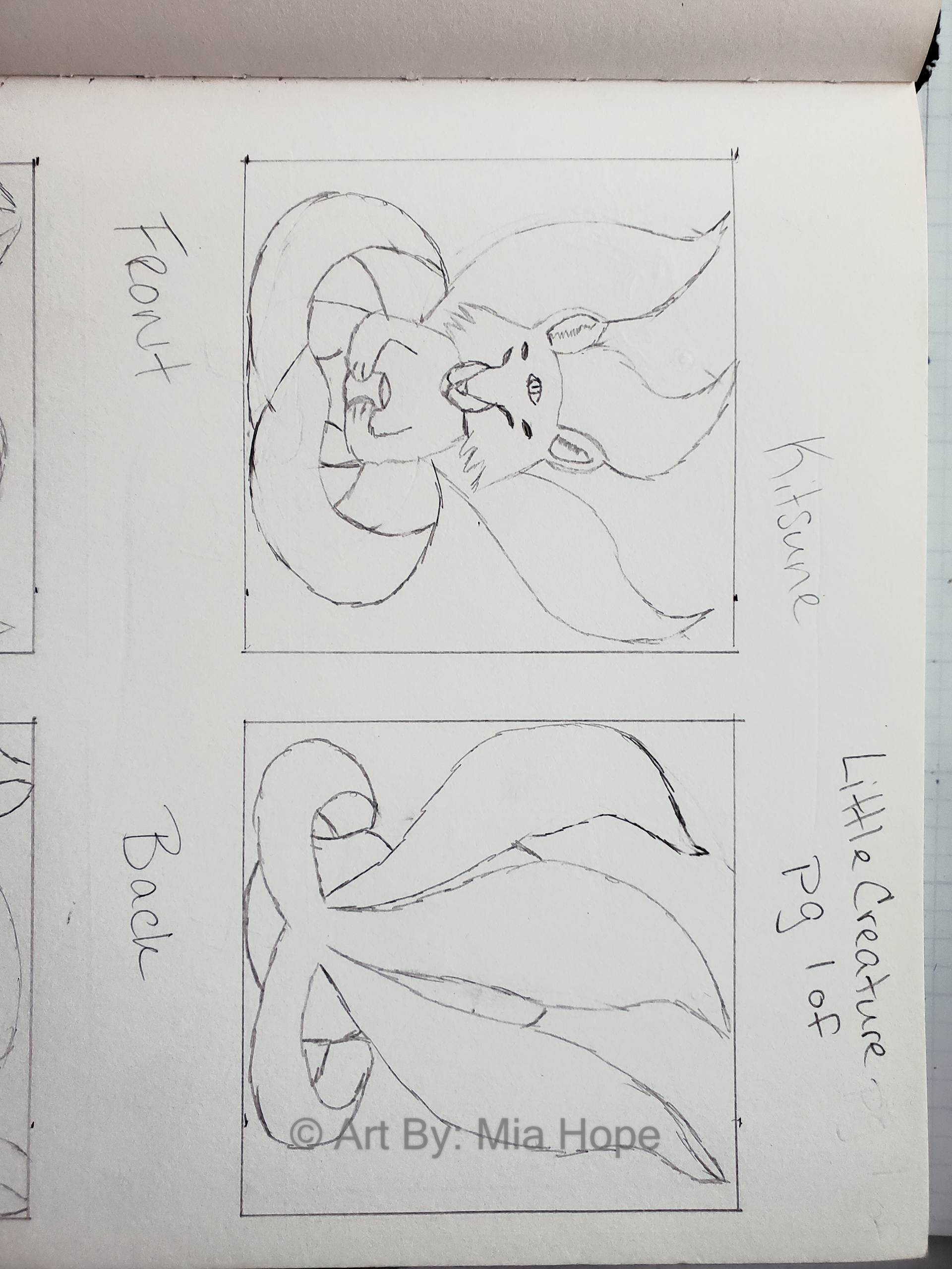 Initial Idea