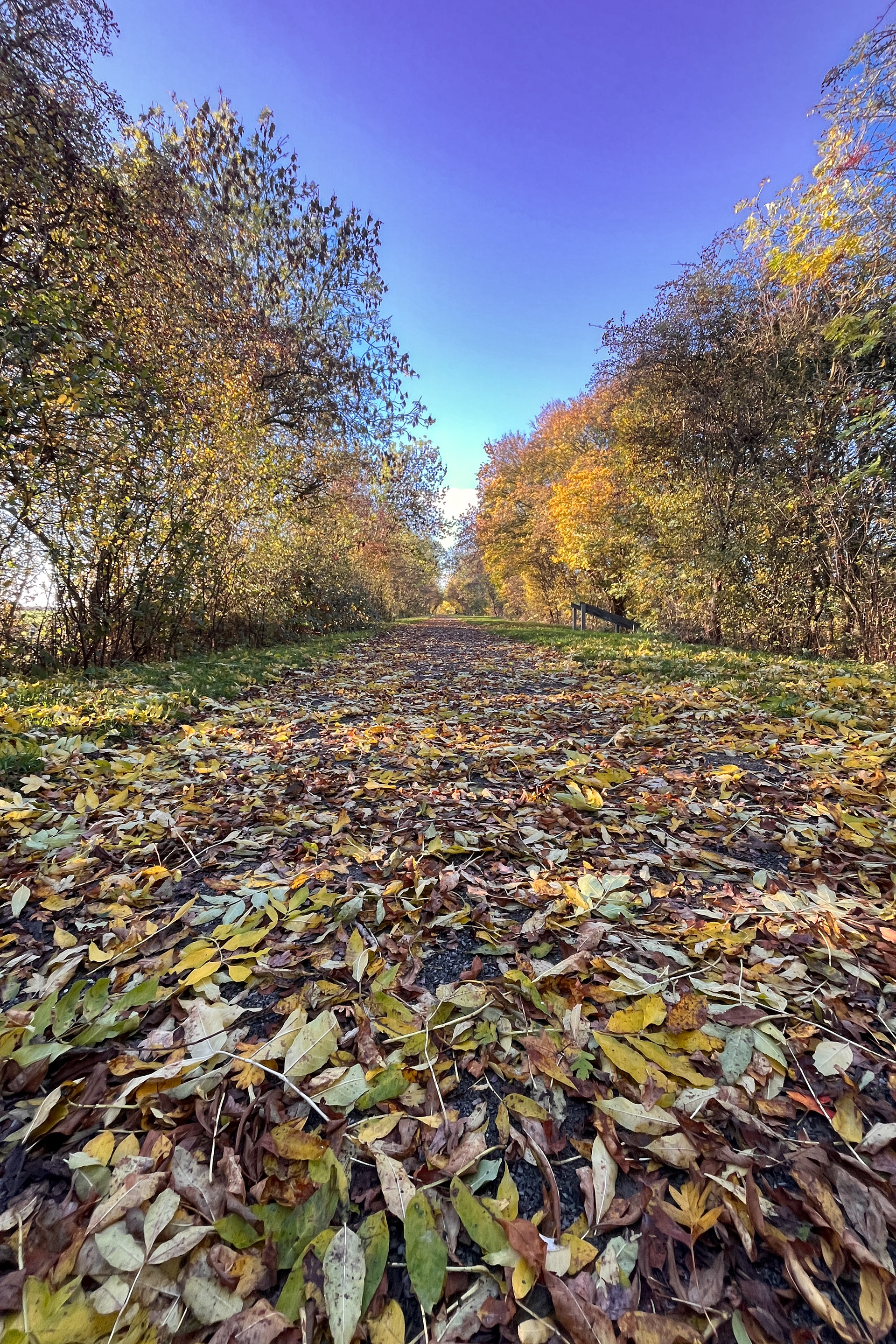 The Old Railway Line