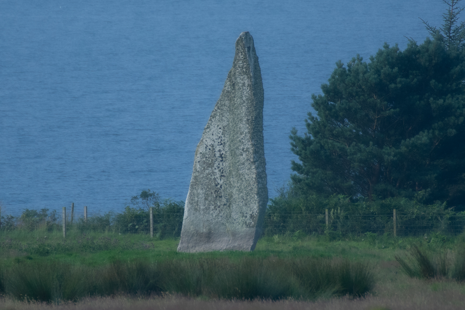Dragons Tooth