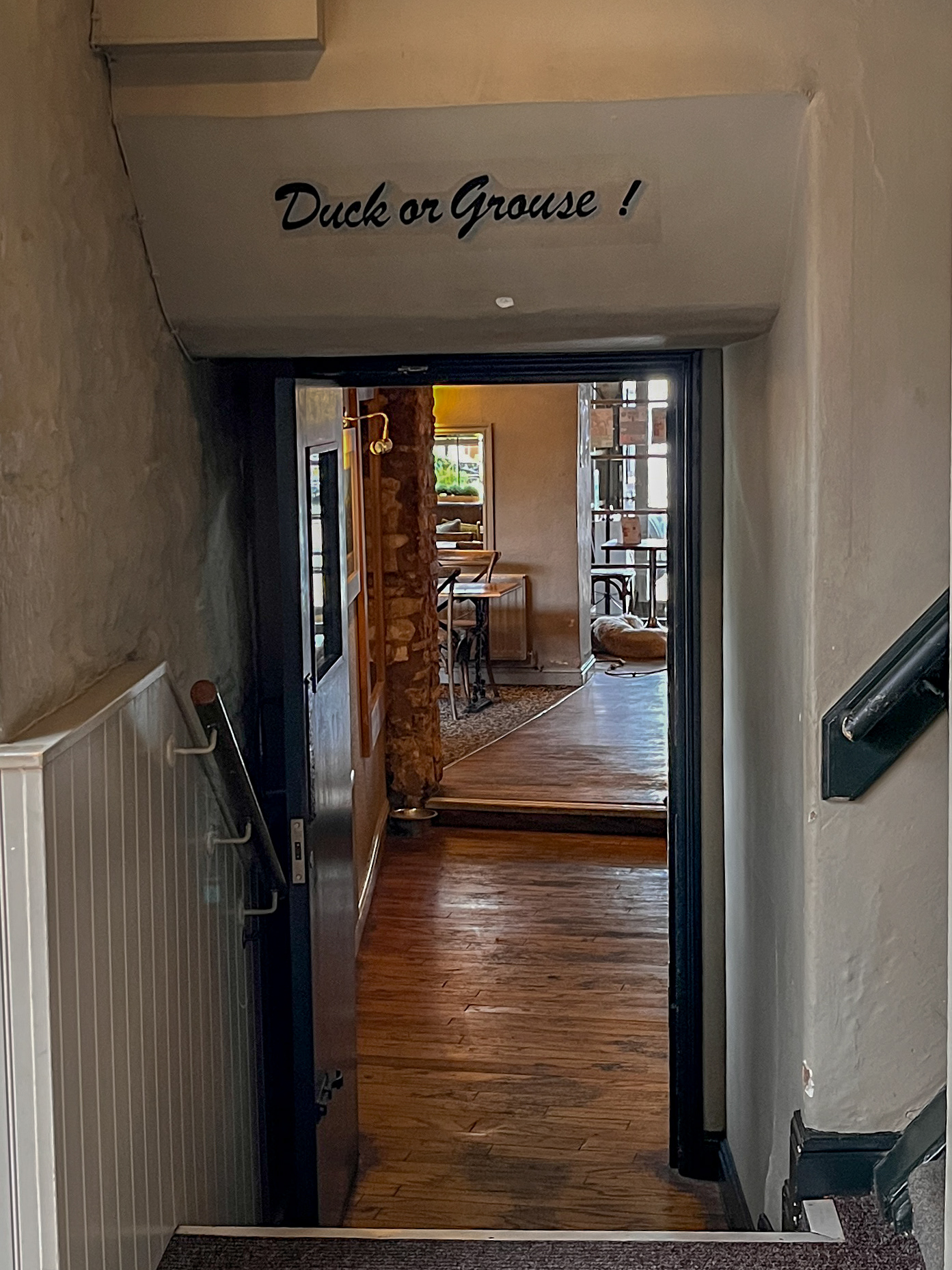Best to Duck Here