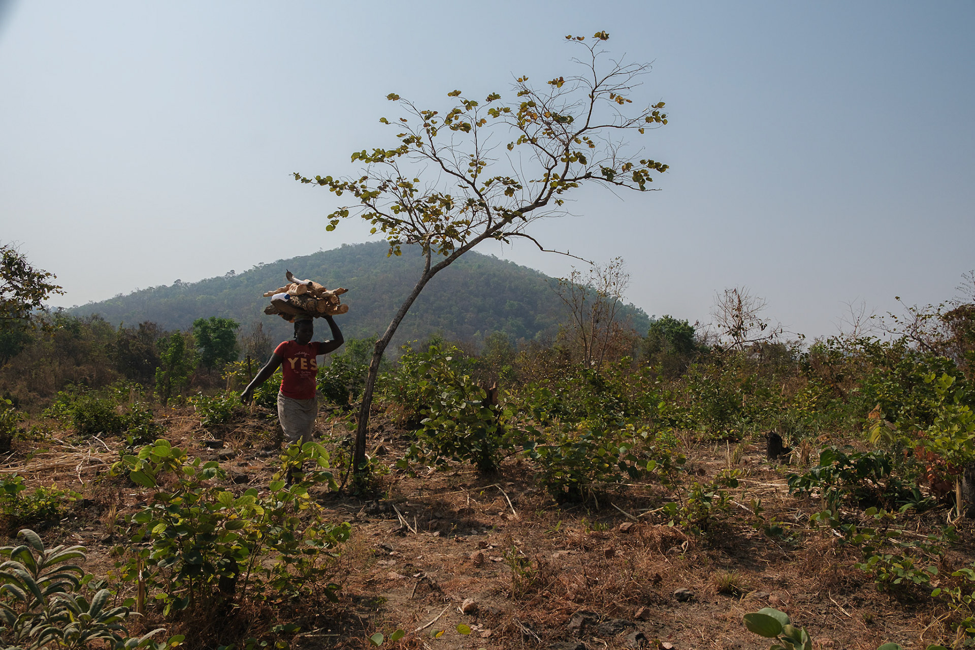 Kenneth O. Mmaduadizie