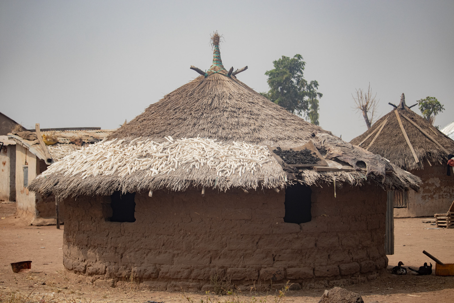 Caleb Ishaya Osheshi