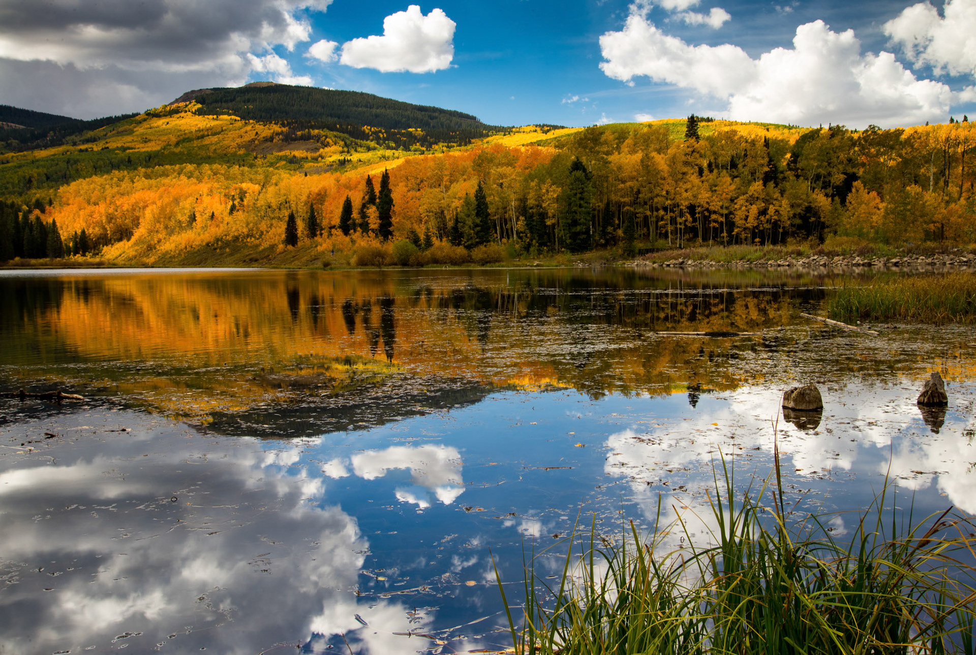 Woods Lake #3