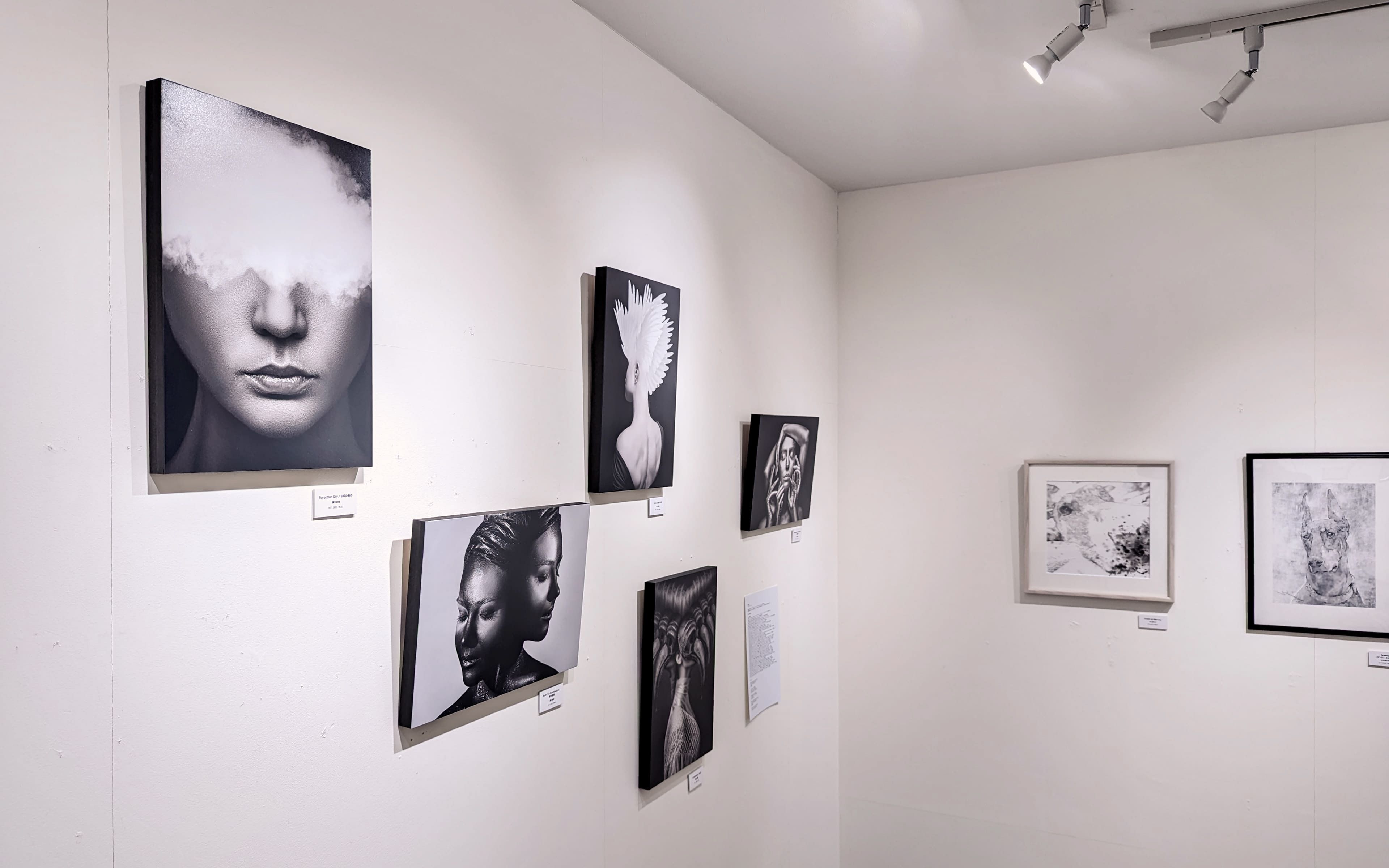 artbook secretariat's gallery - Masaki Hirokawa / 廣川政樹 - 2