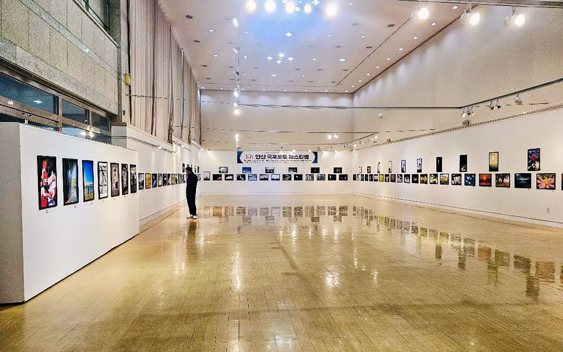 Ansan International Photo Festival 2025 - Vol. 3