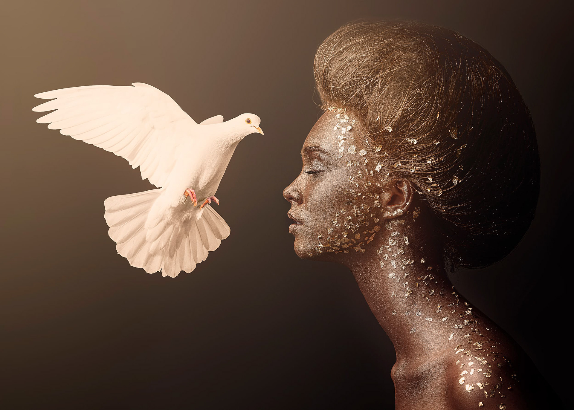 The World in the Birdcage by Masaki Hirokawa / 廣川政樹