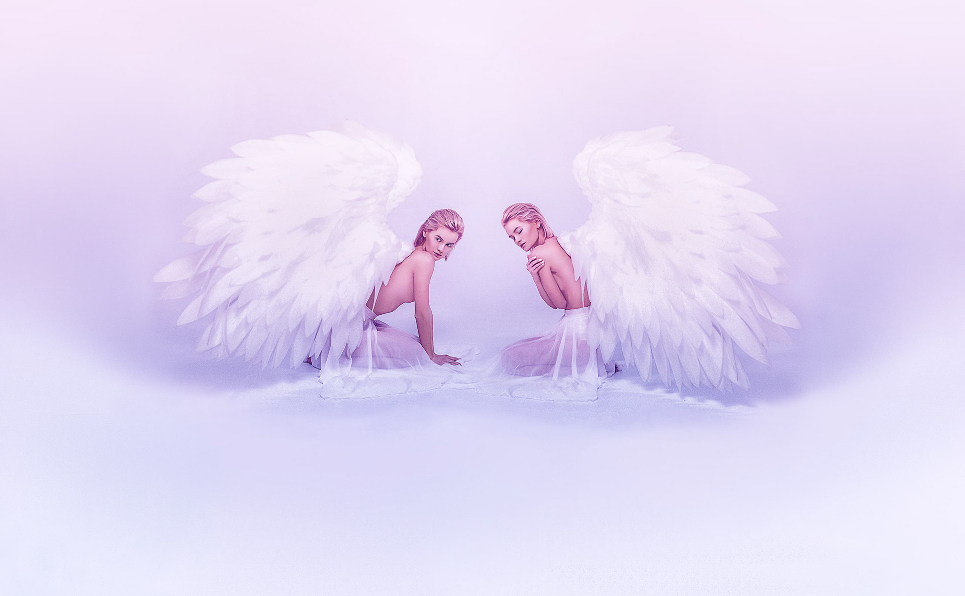 Amphiaster / 双星 by Masaki Hirokawa / 廣川政樹