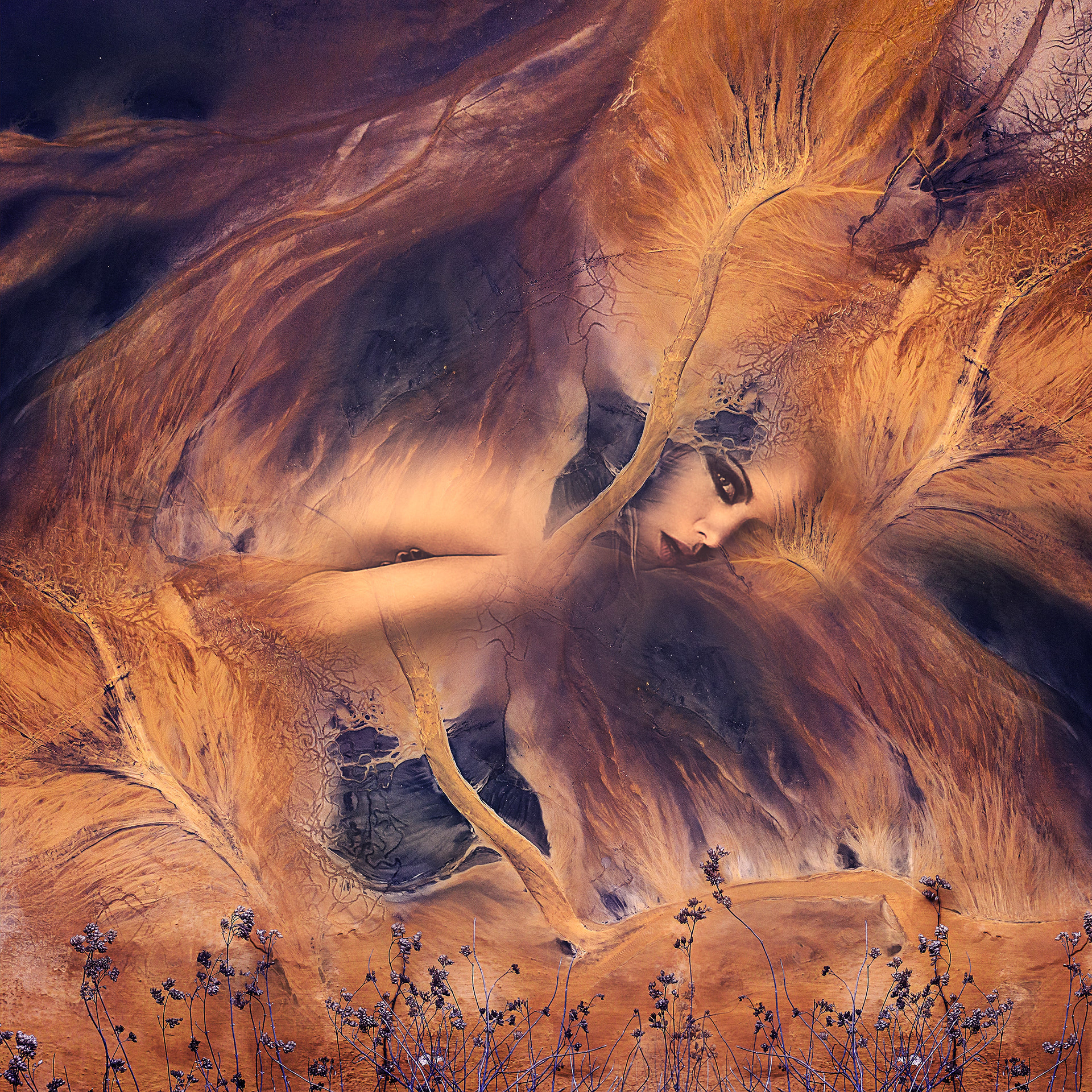 Cocoon / 宵の繭 by Masaki Hirokawa / 廣川政樹