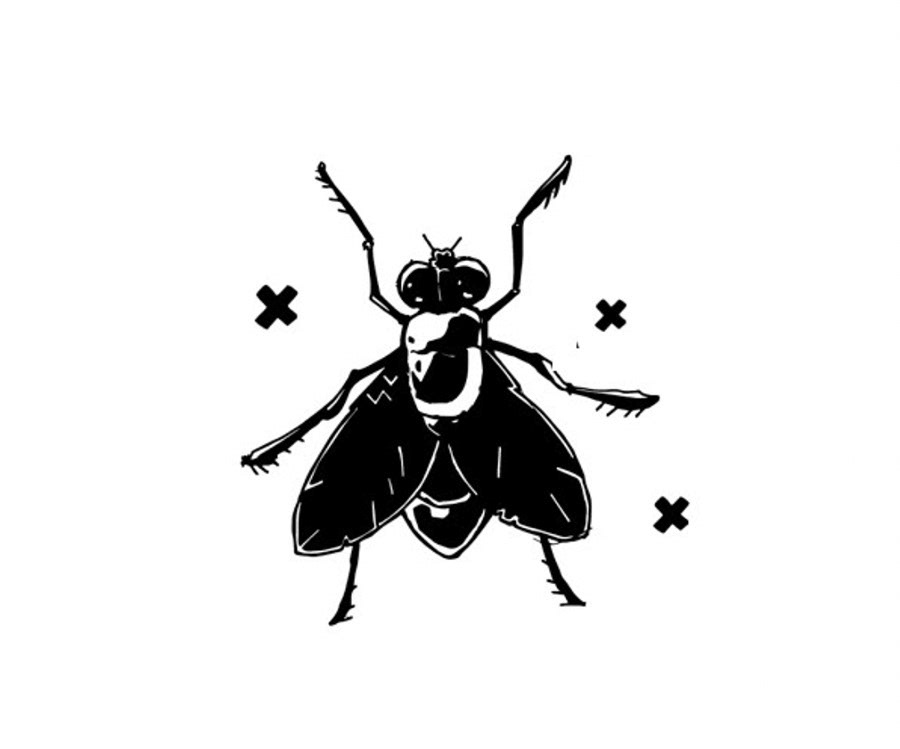 © MIKE TERRORA 2015-2025