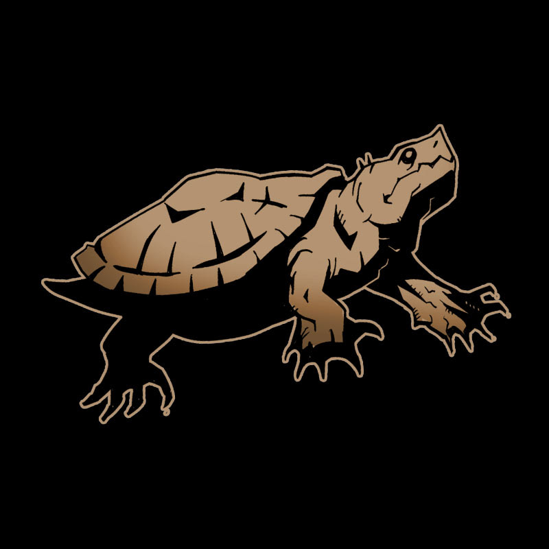 © MIKE TERRORA 2015-2025