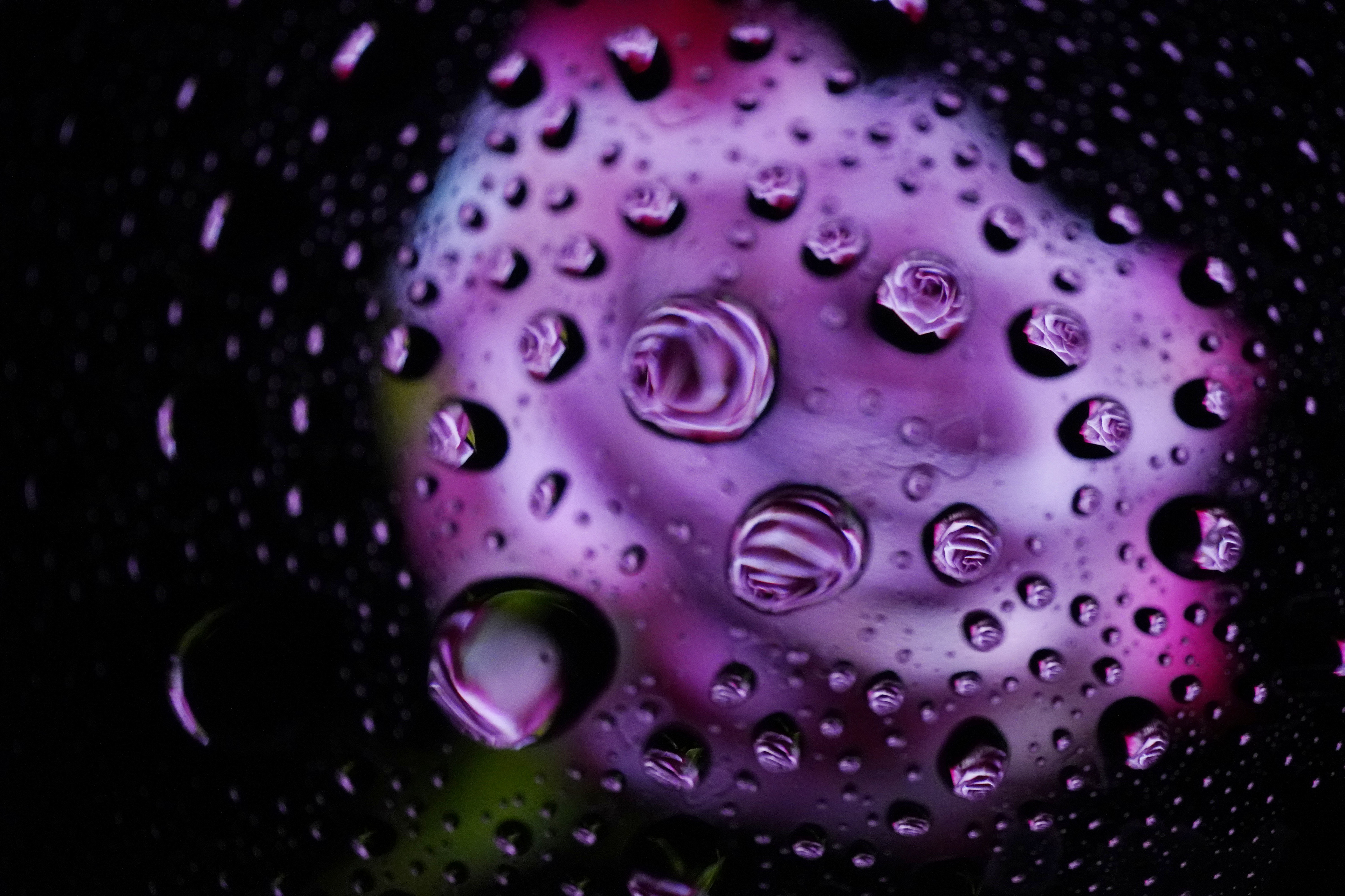 Waterdrop Flower_Spare time_2021