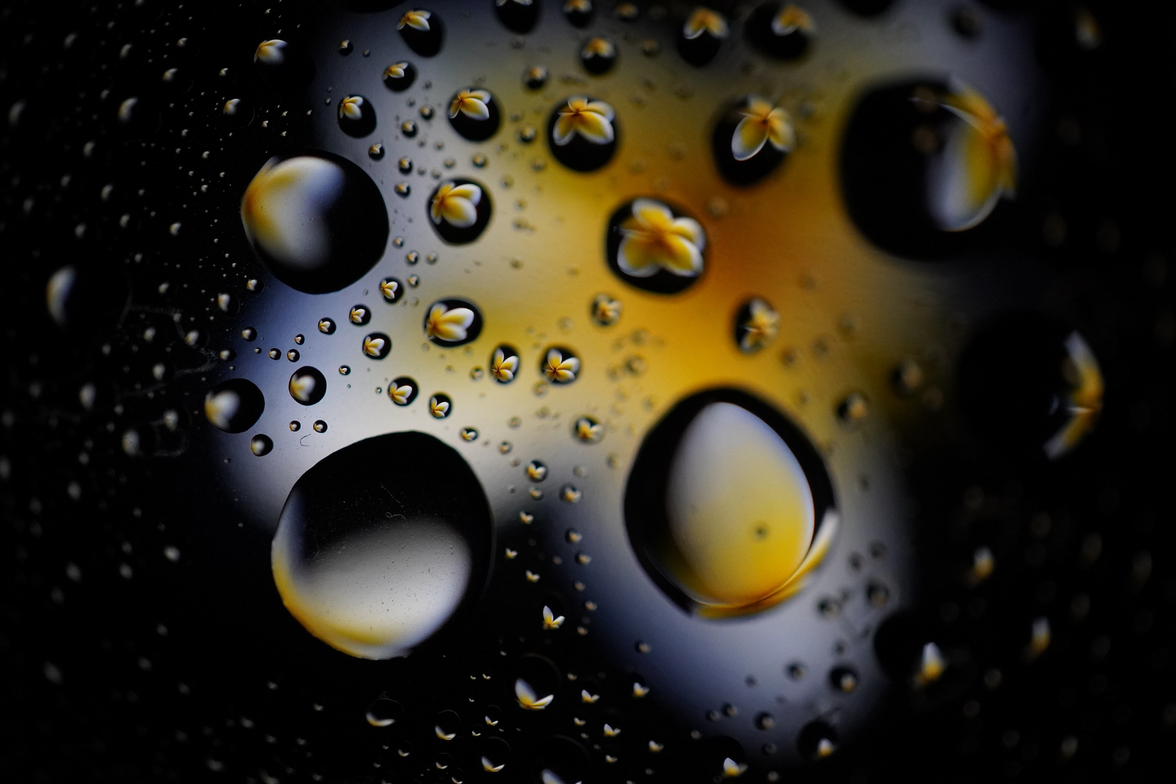 Waterdrop Flower_Spare time_2021