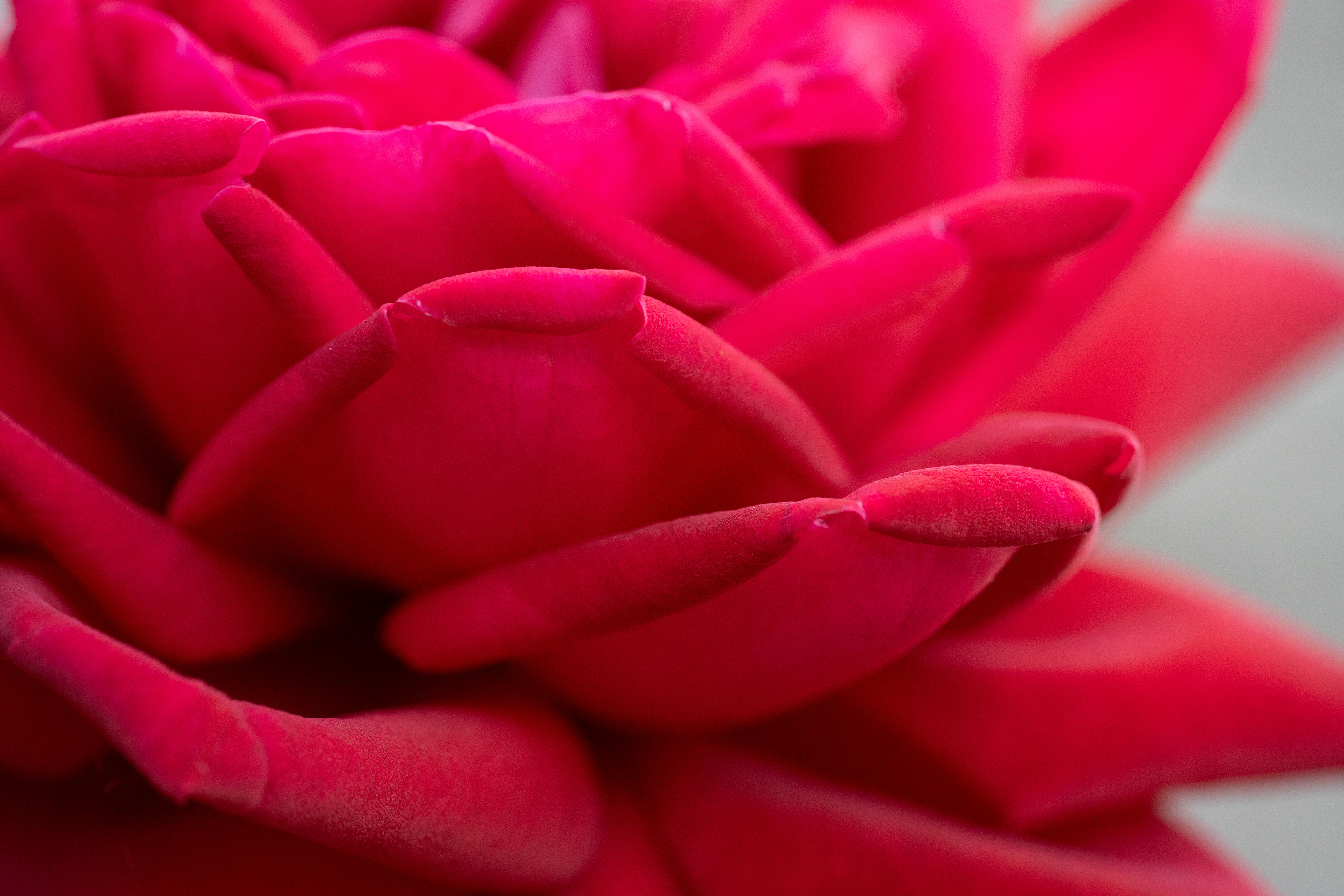 Macro_Spare time_2023