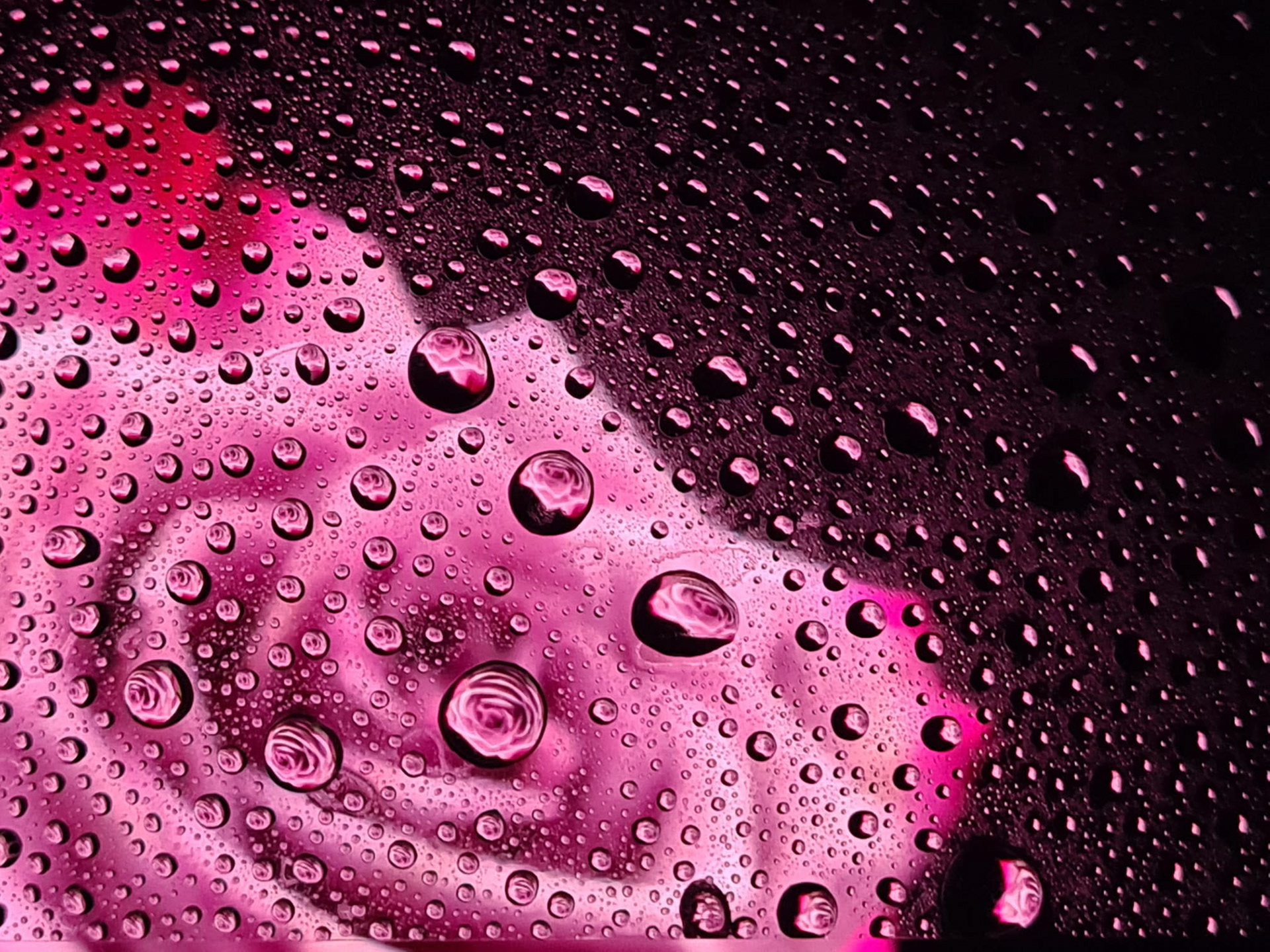 Waterdrop Flower_Spare time_2021