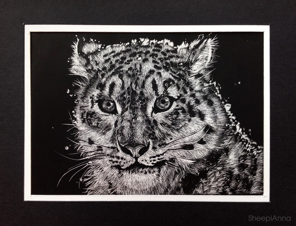 Snow Leopard Scratchboard from Reference